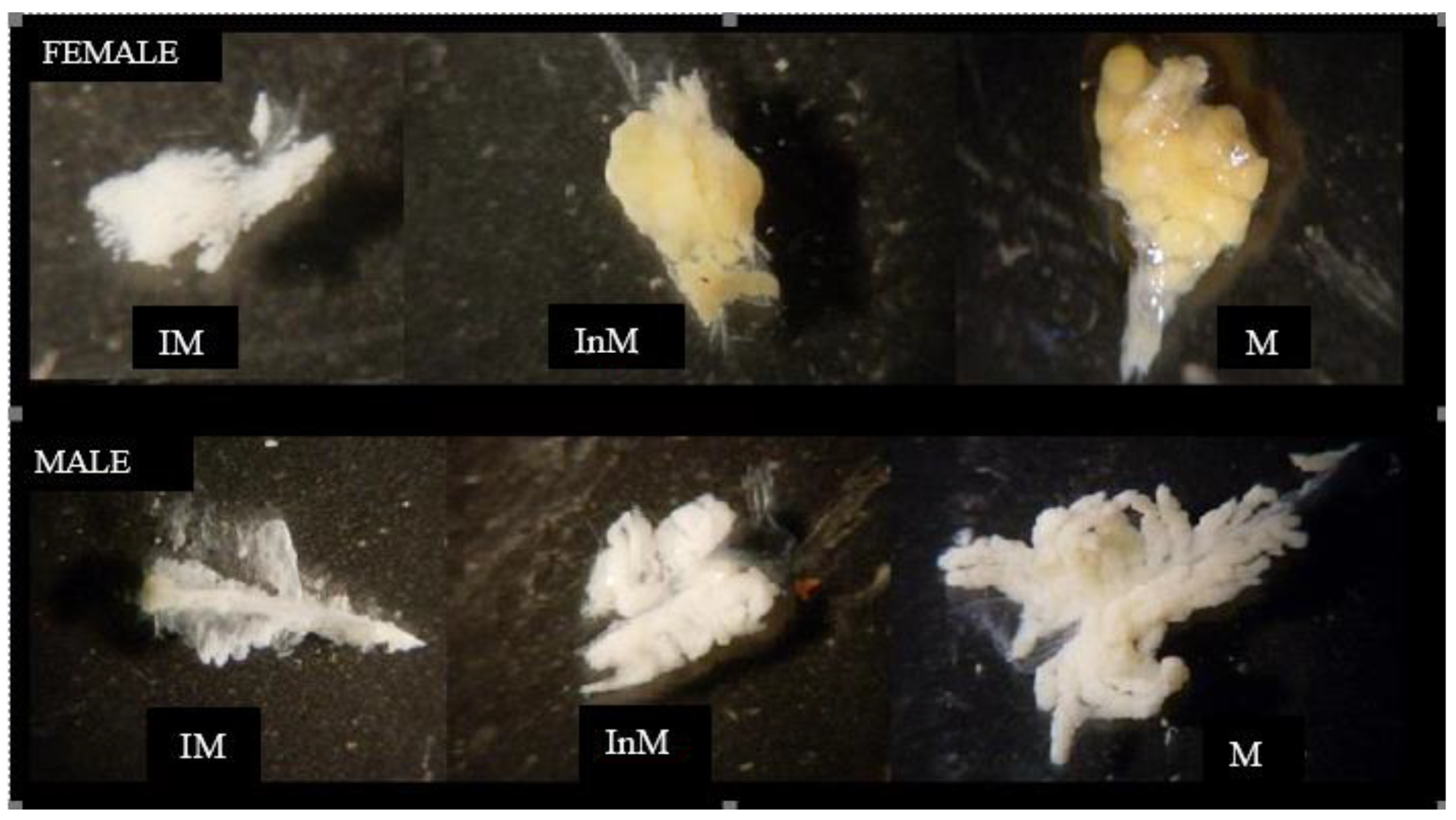 Fishes 09 00494 g003