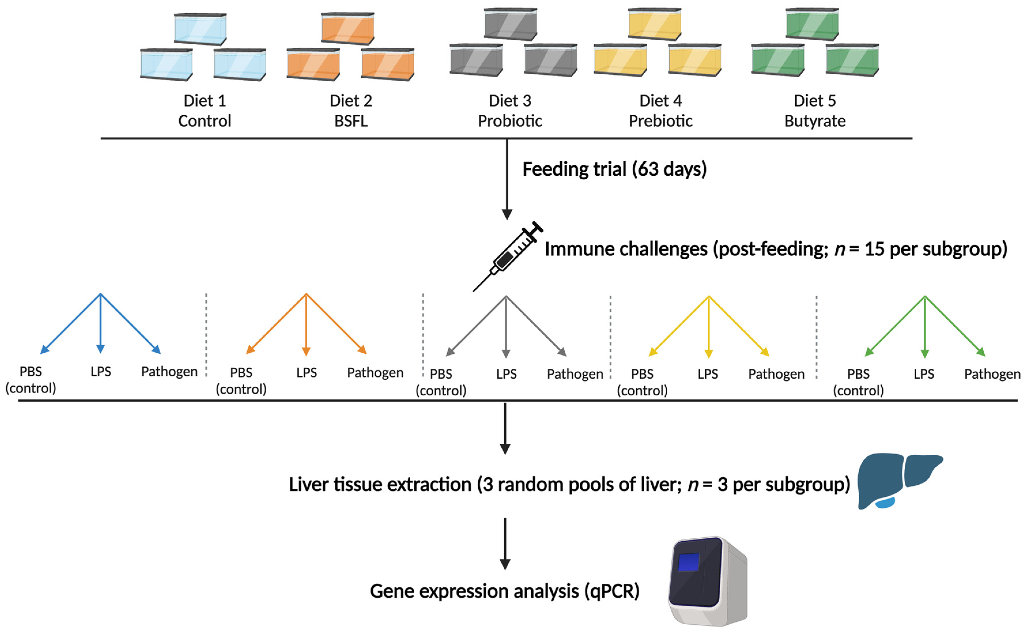 Fishes 09 00495 g001