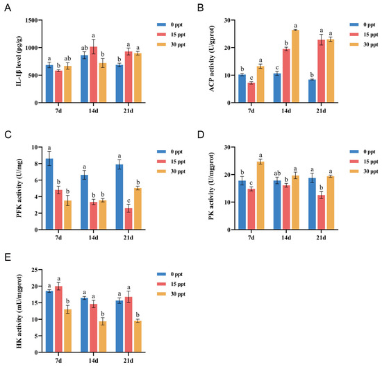 Physiological Function Disturbances and Adaptive Responses