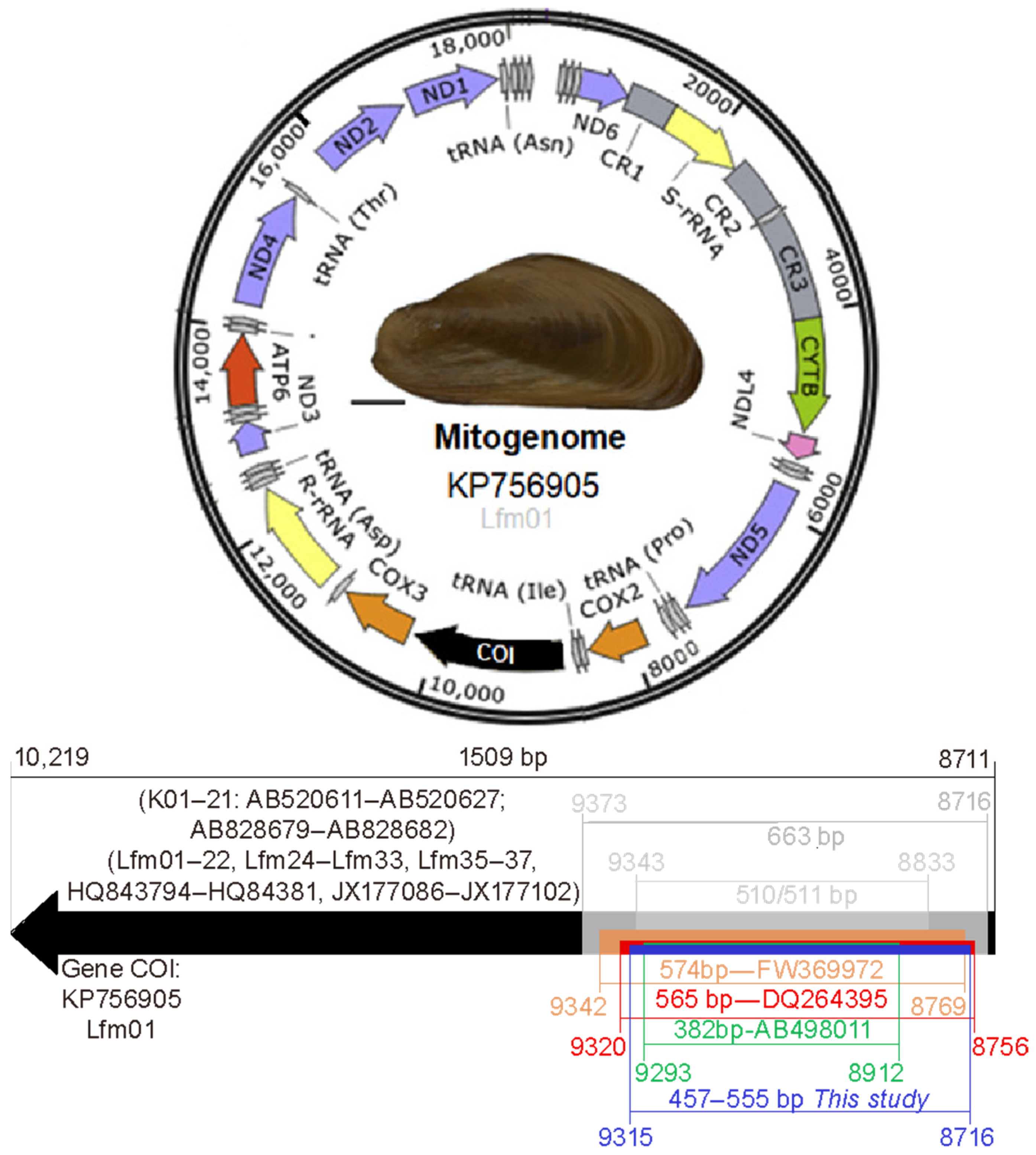 Fishes 09 00499 g002