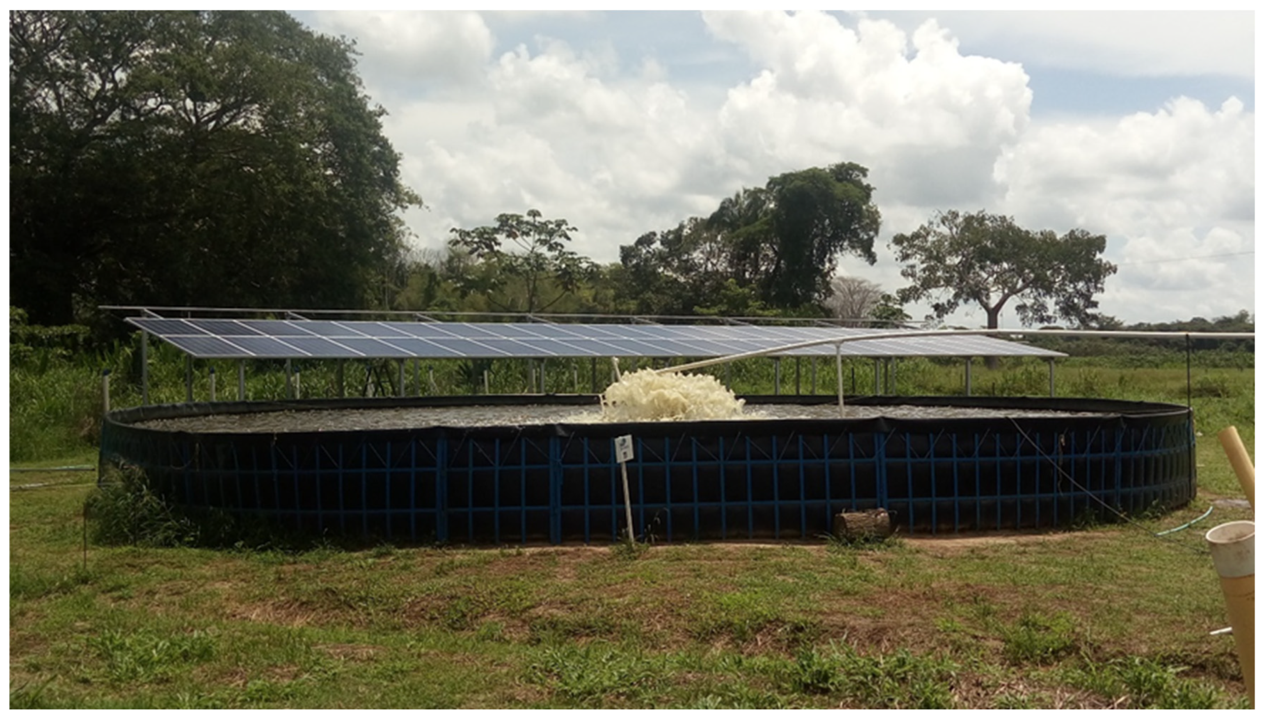 Fishes 09 00505 g001