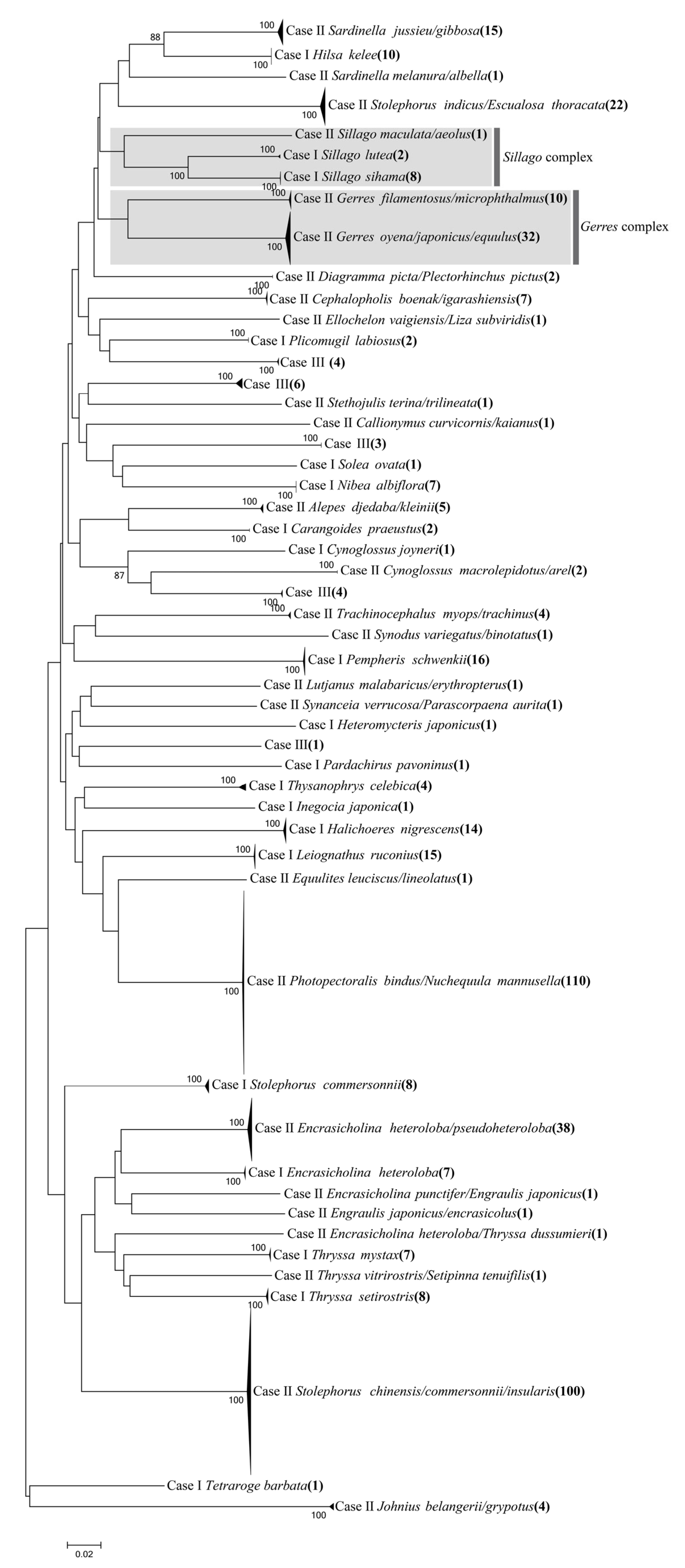 Fishes 09 00510 g003