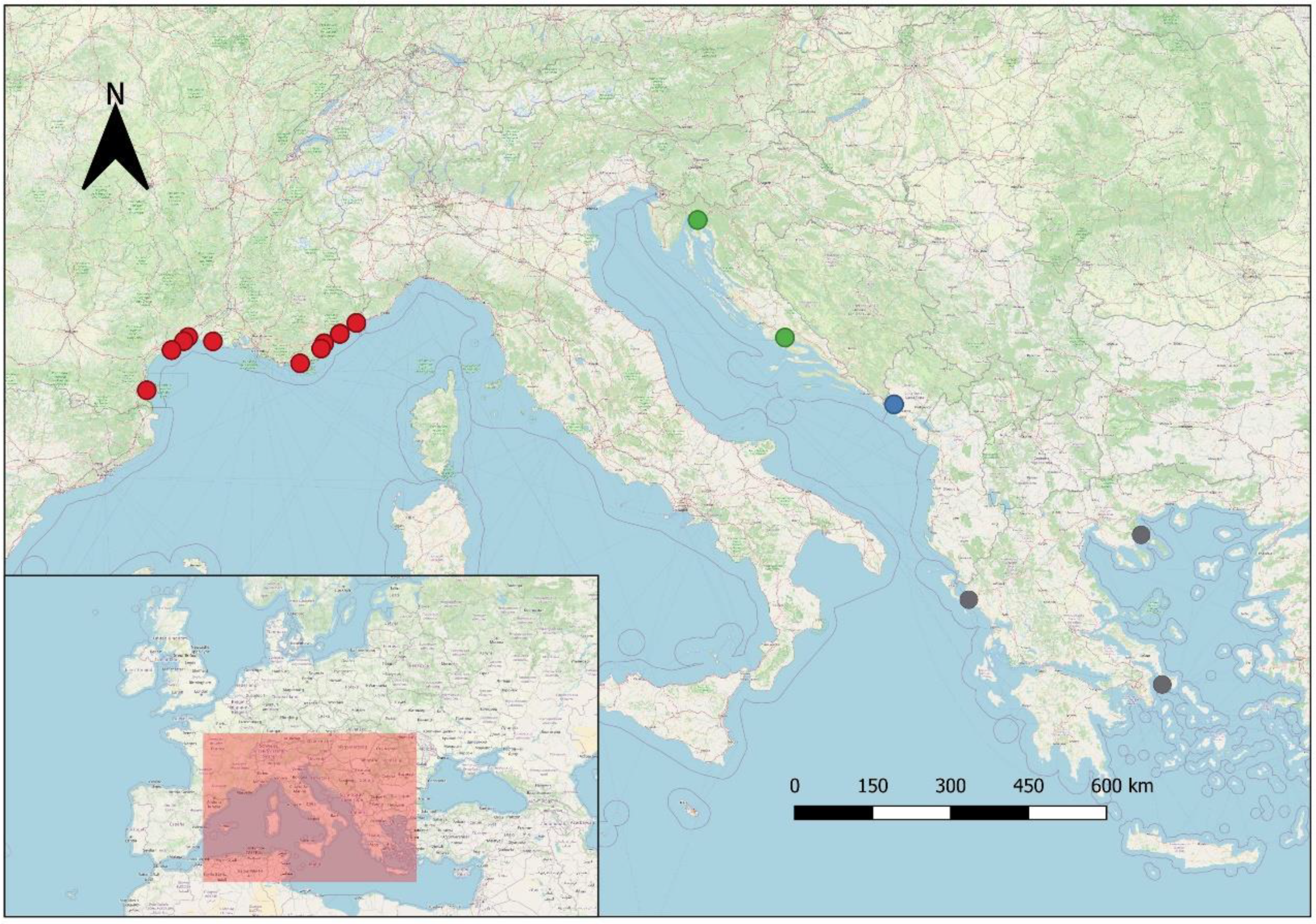 Fishes 09 00511 g001