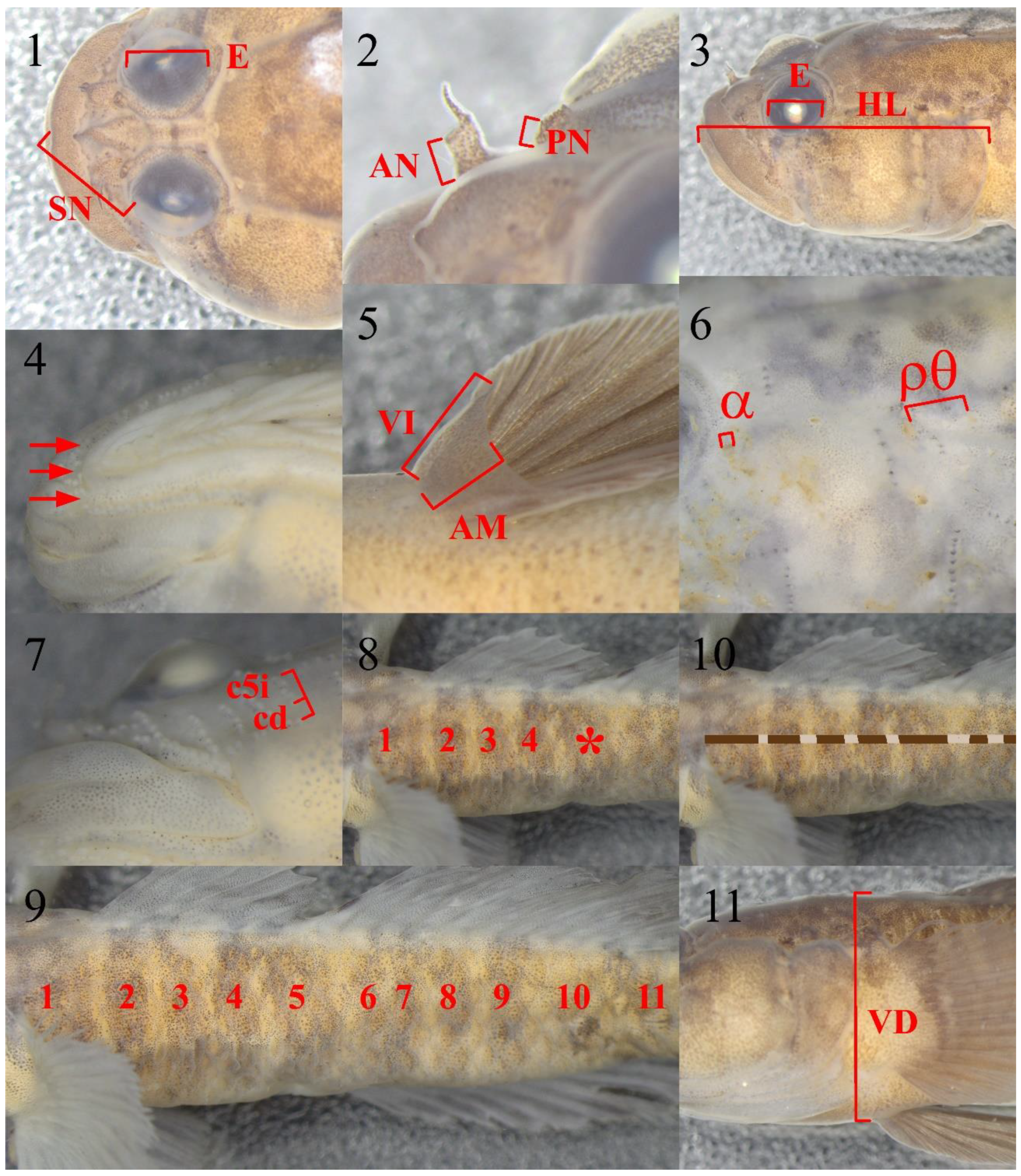 Fishes 09 00511 g002