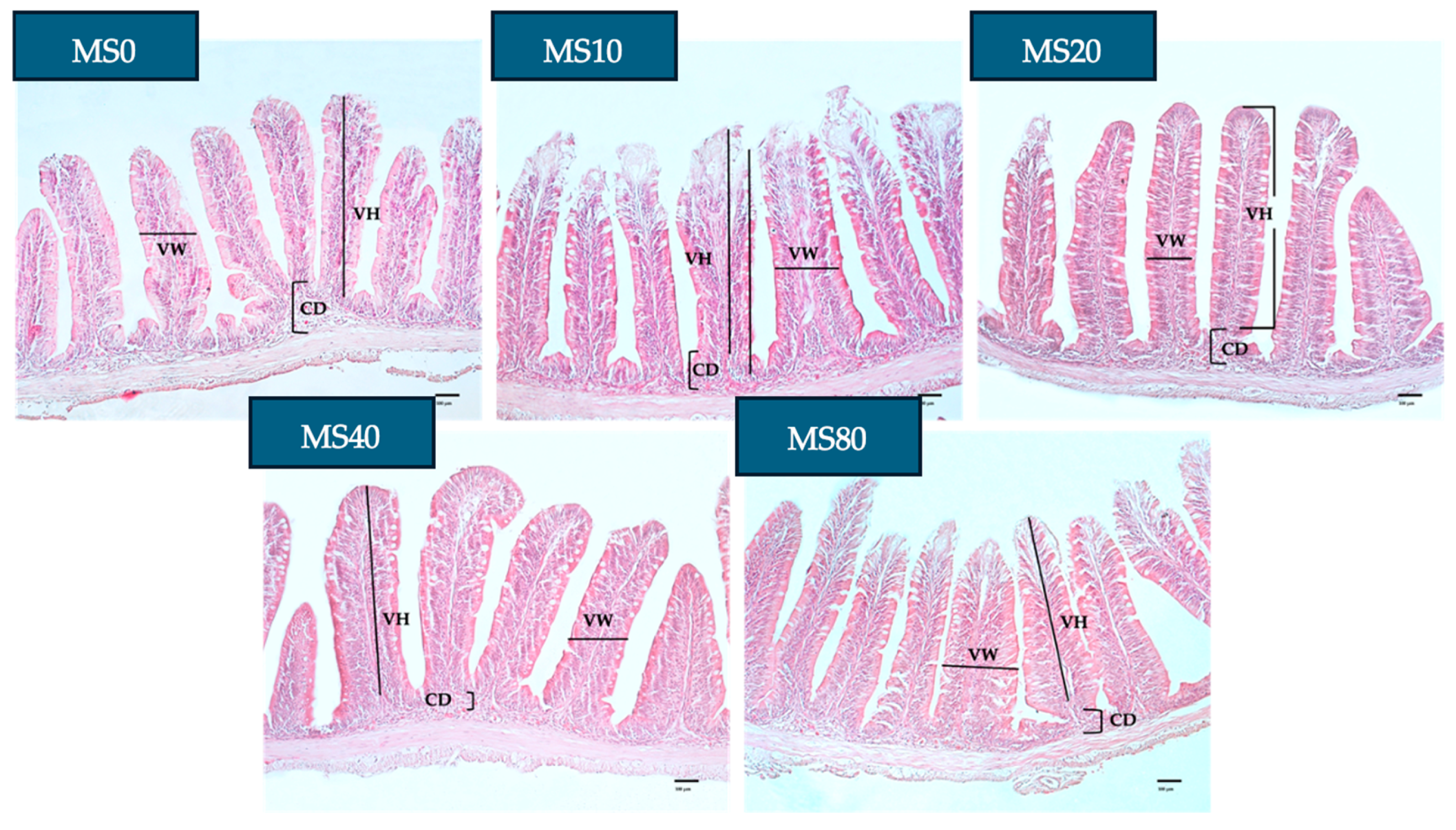Fishes 09 00514 g004