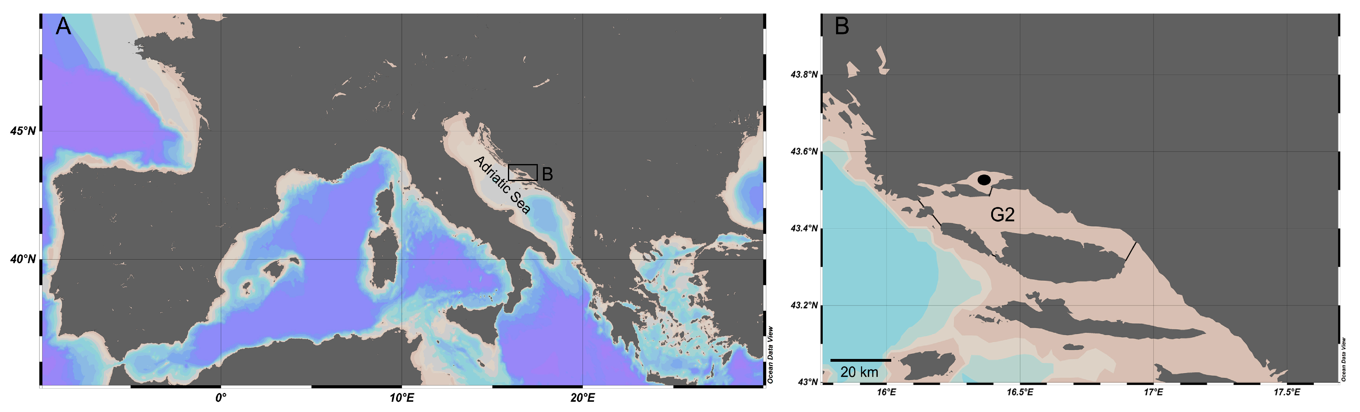 Fishes 09 00516 g001