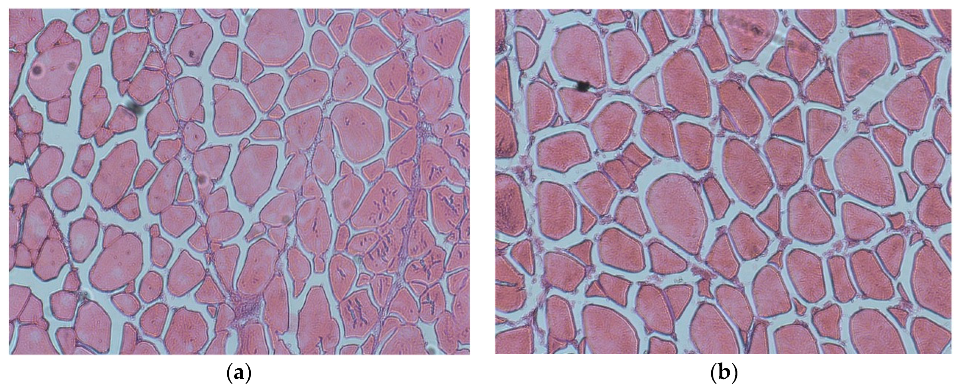 Fishes 09 00517 g001