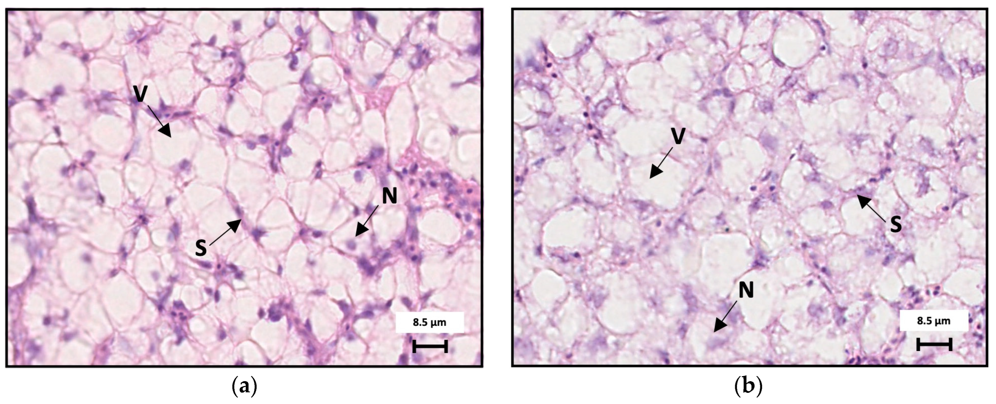Fishes 09 00517 g002