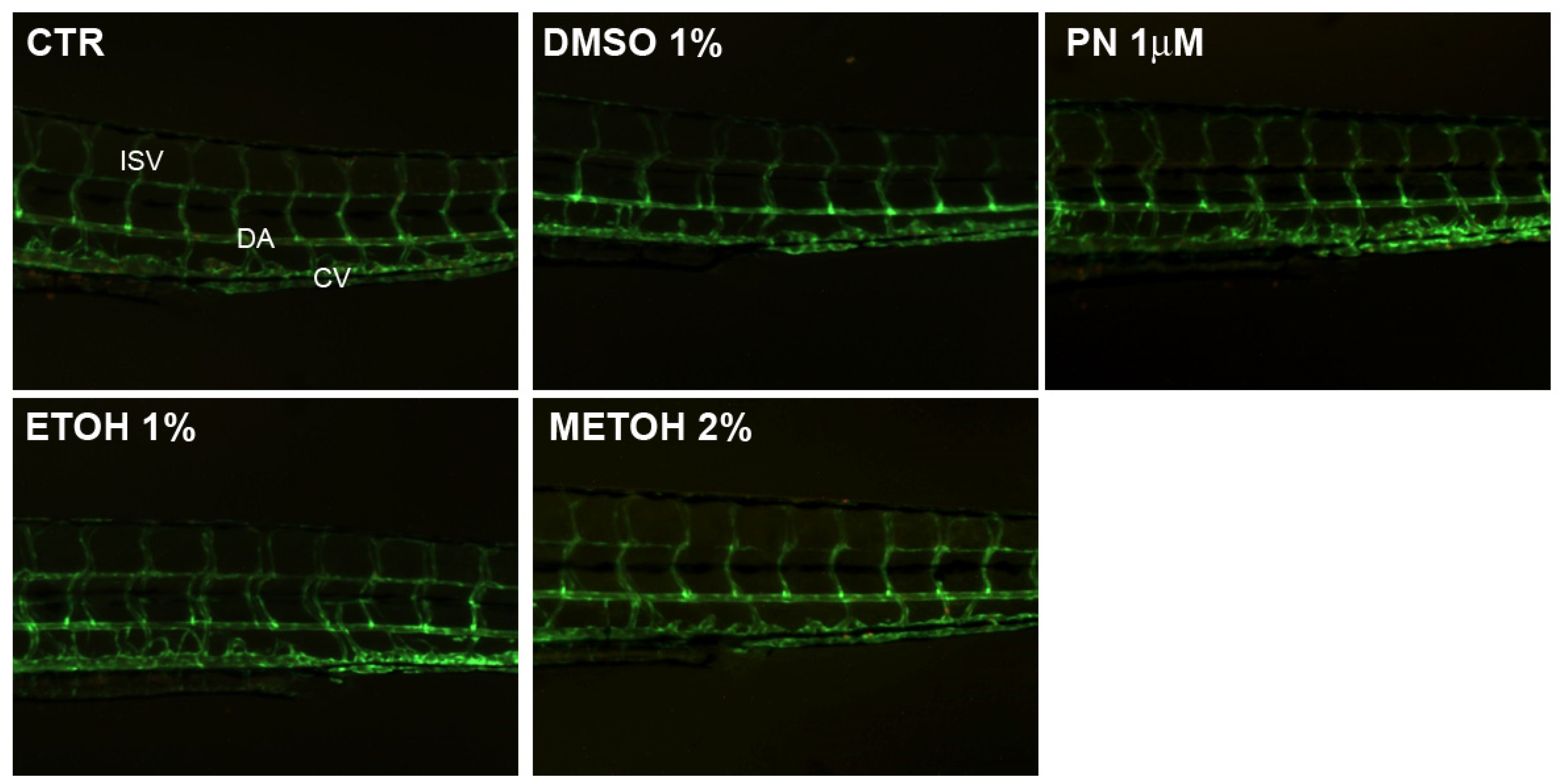Fishes 09 00519 g003