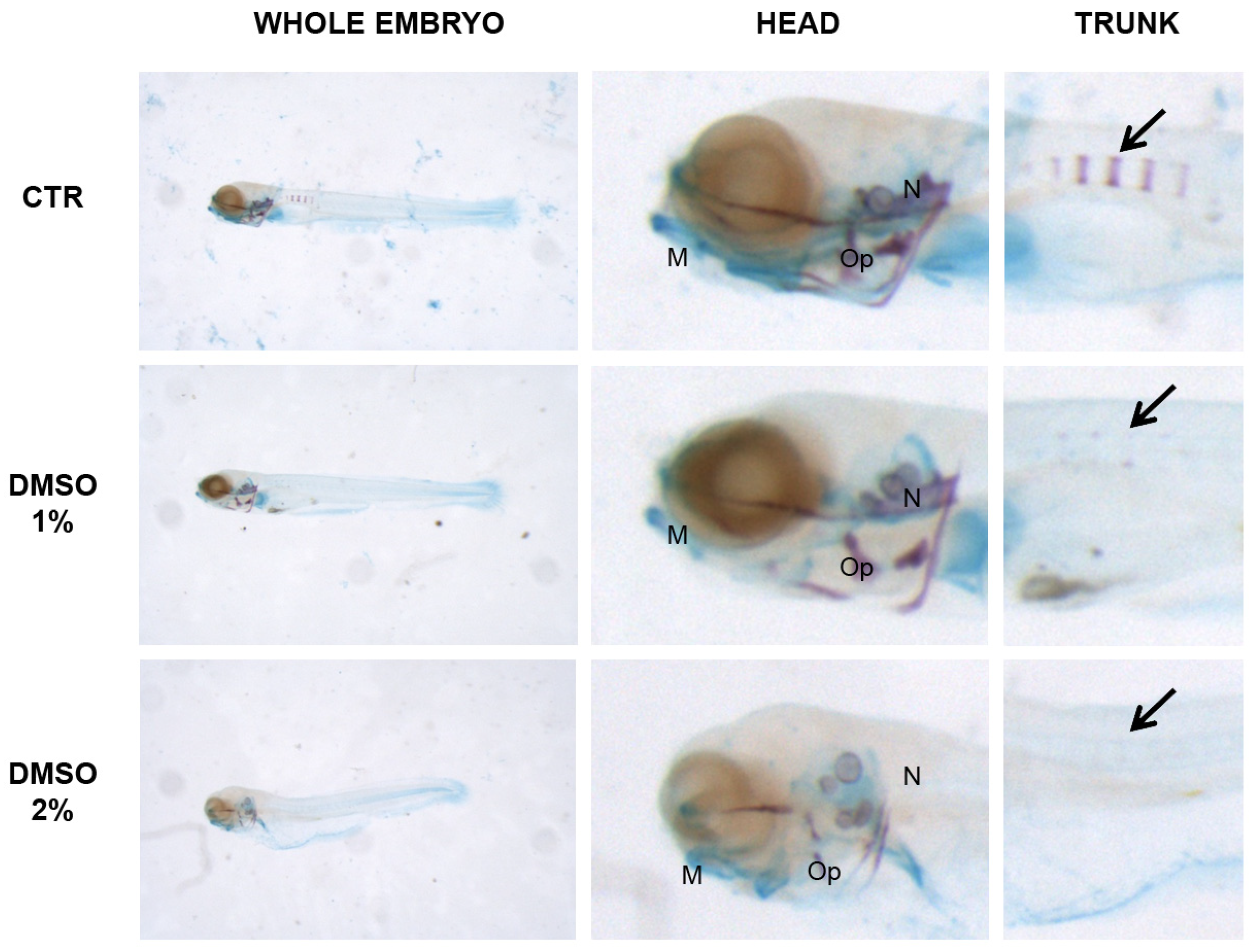 Fishes 09 00519 g005