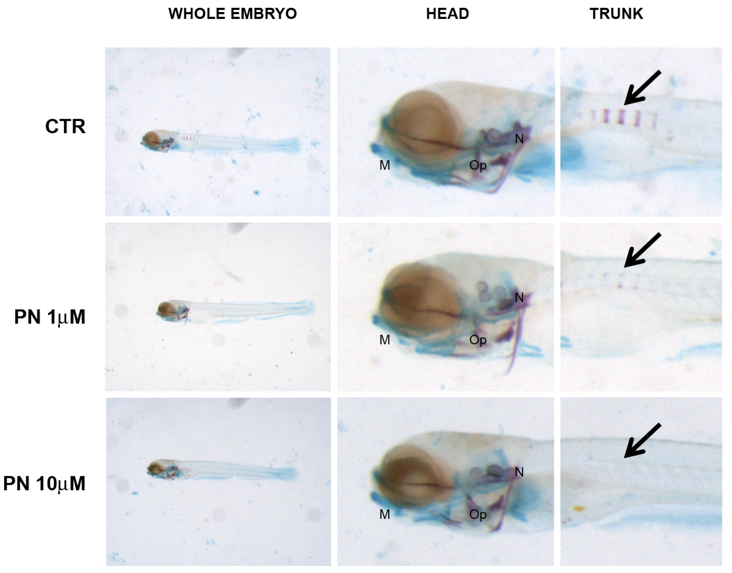 Fishes 09 00519 g006