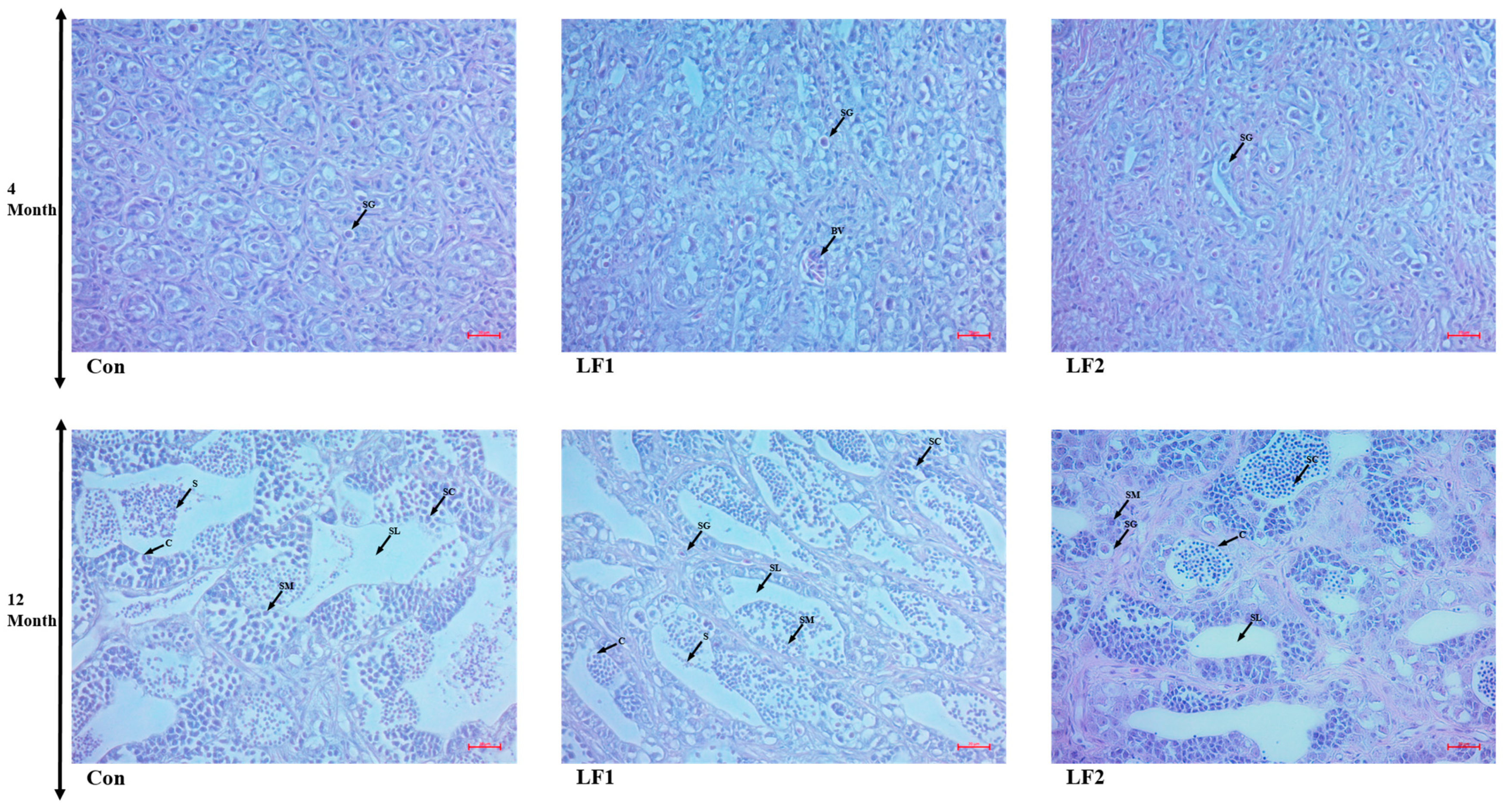 Fishes 09 00521 g001