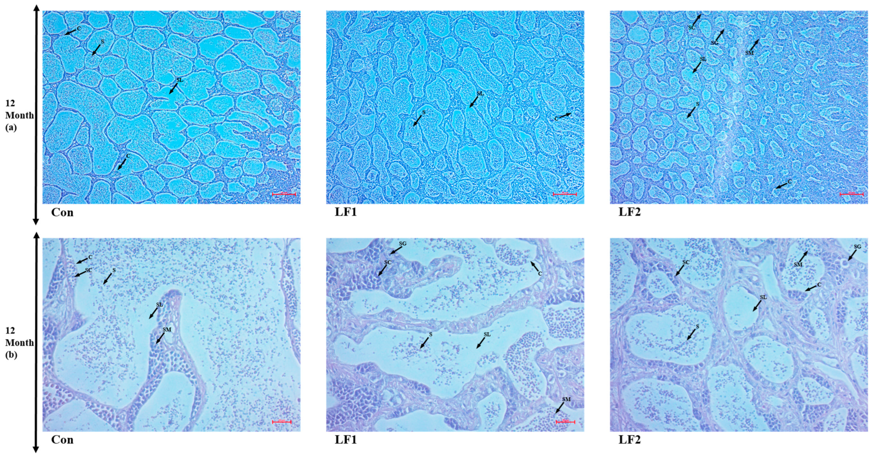 Fishes 09 00521 g002