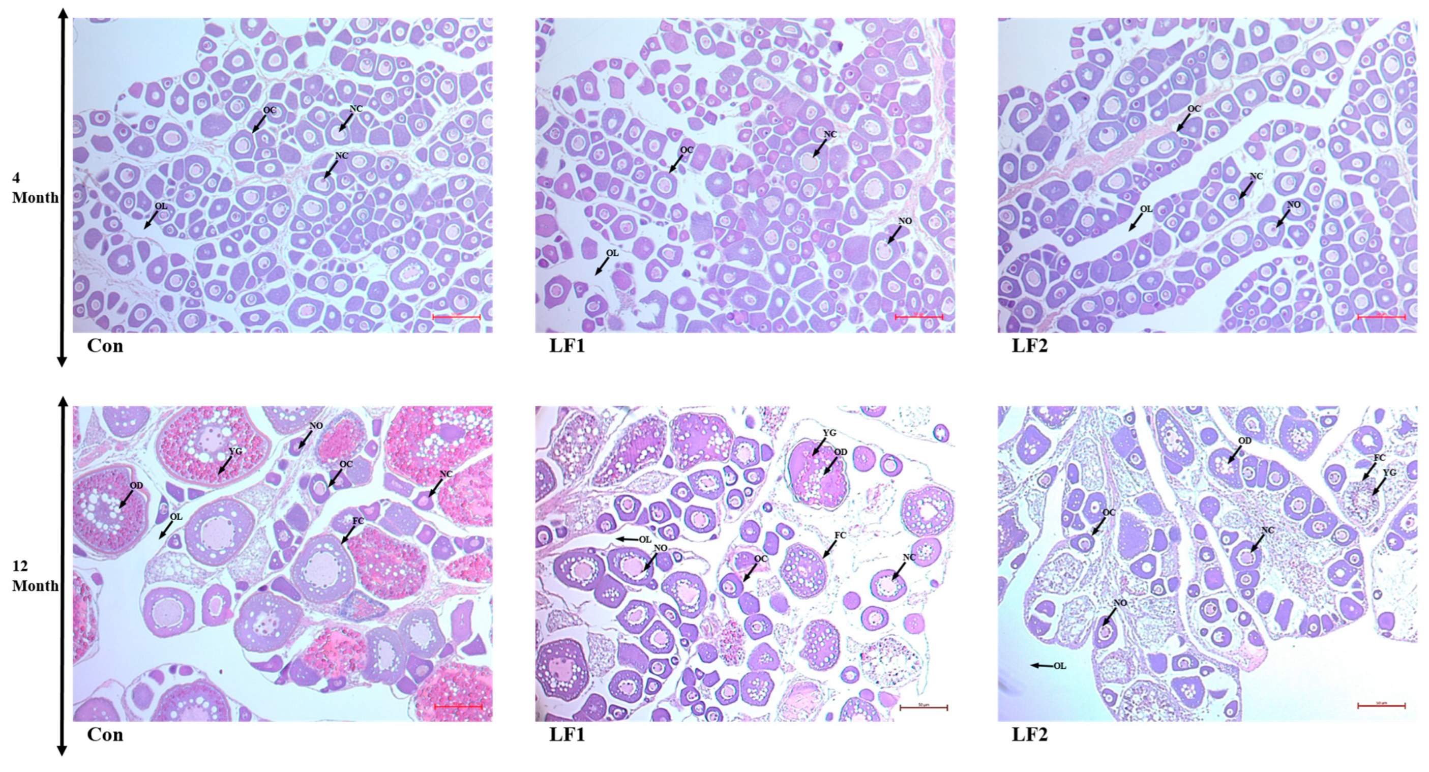 Fishes 09 00521 g003