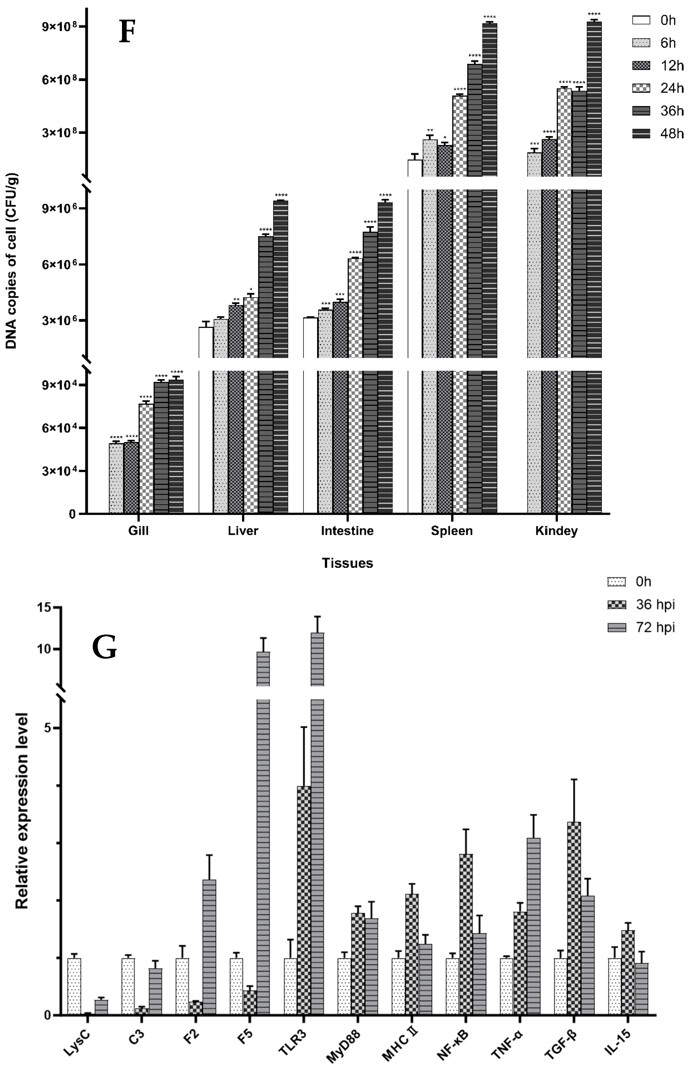 Fishes 09 00525 g003b