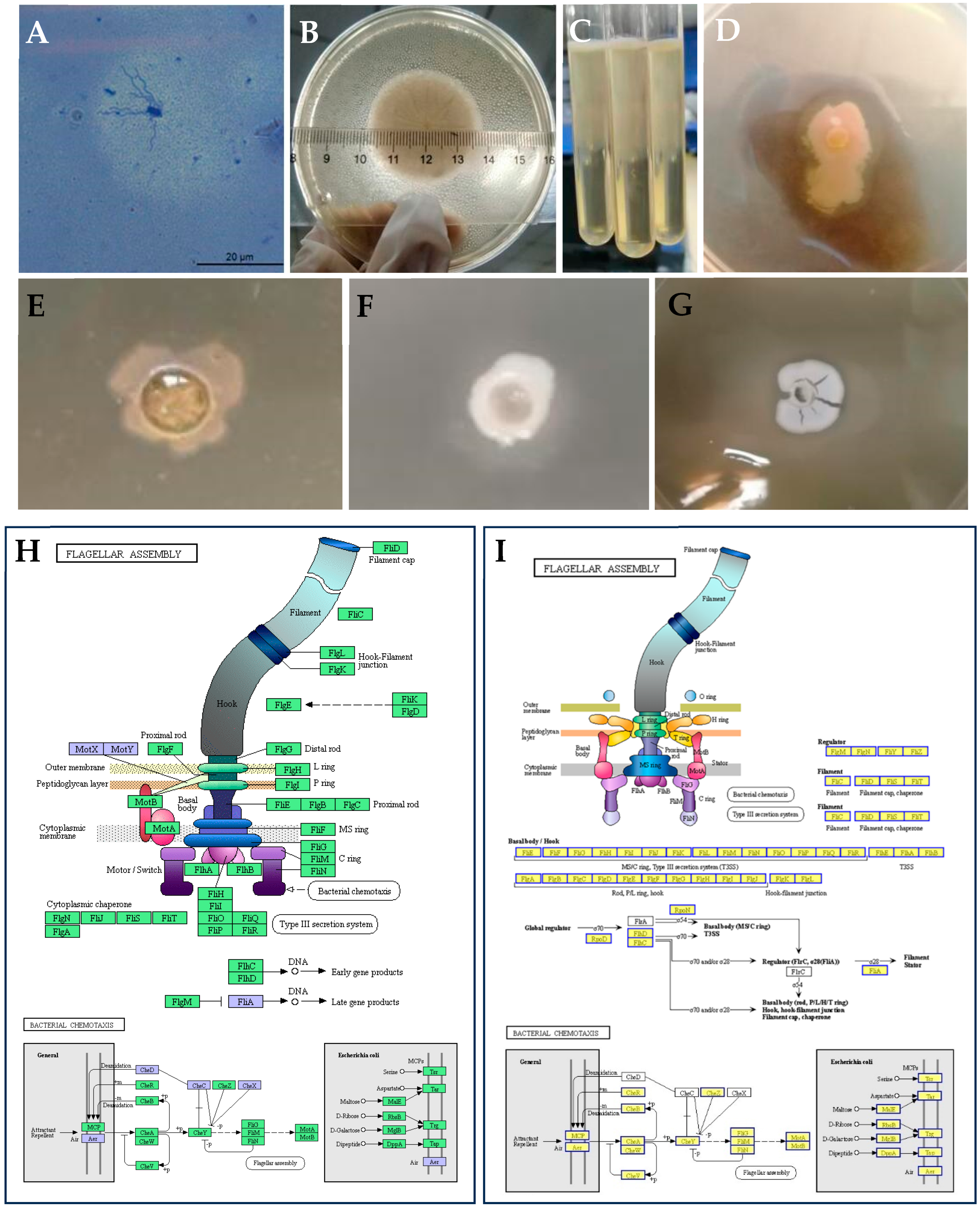 Fishes 09 00525 g004