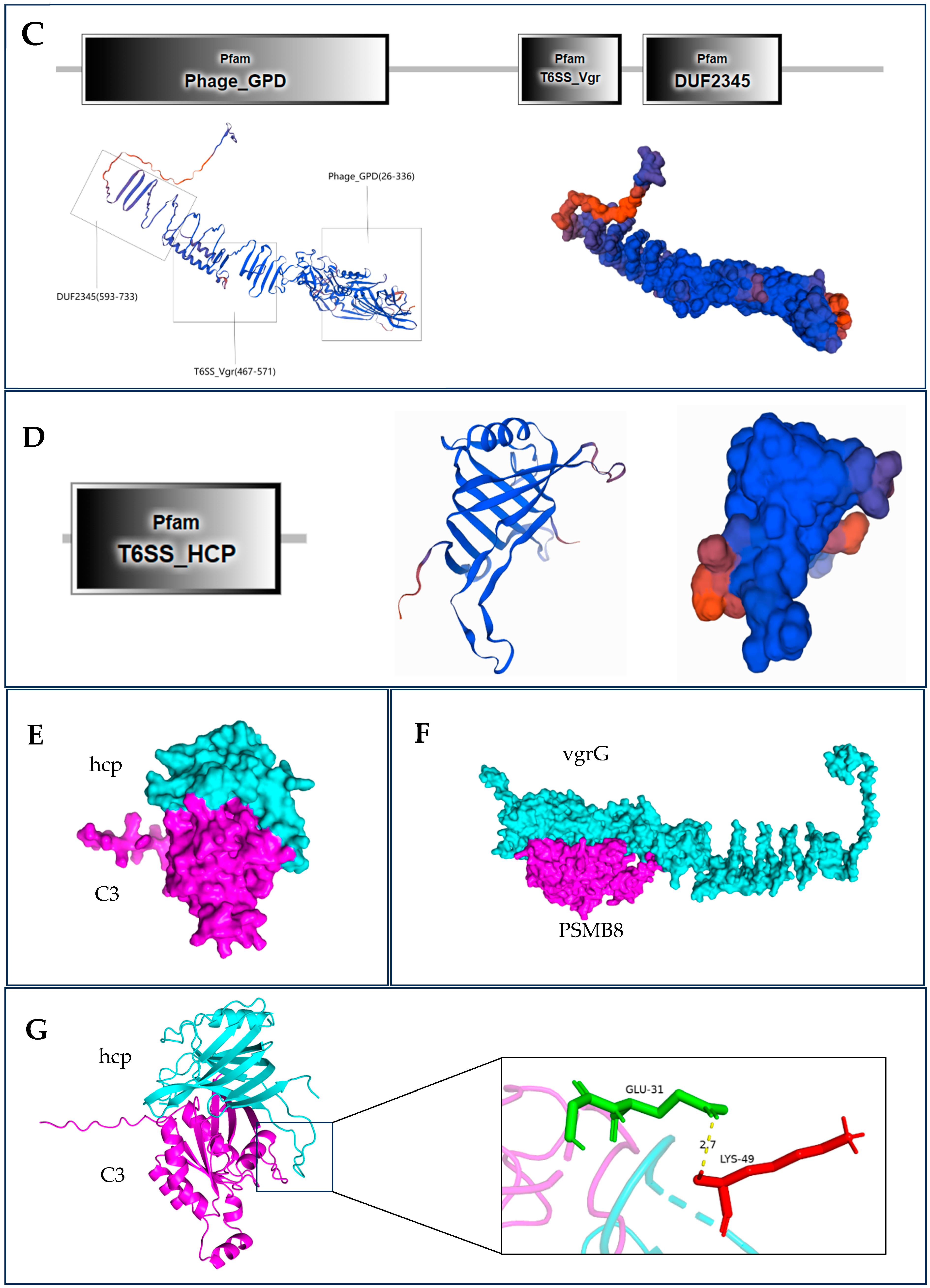 Fishes 09 00525 g005b