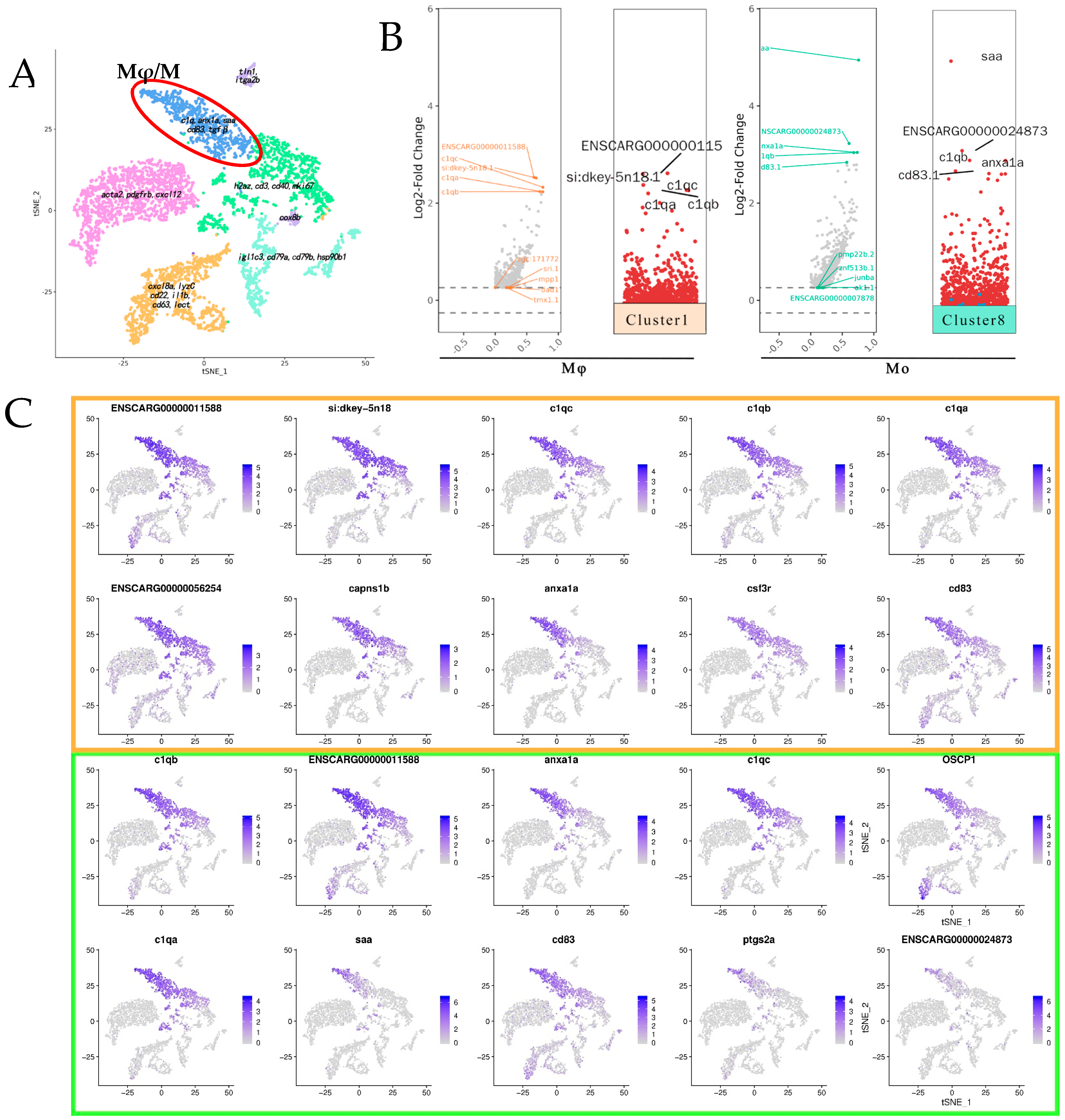 Fishes 09 00525 g007a