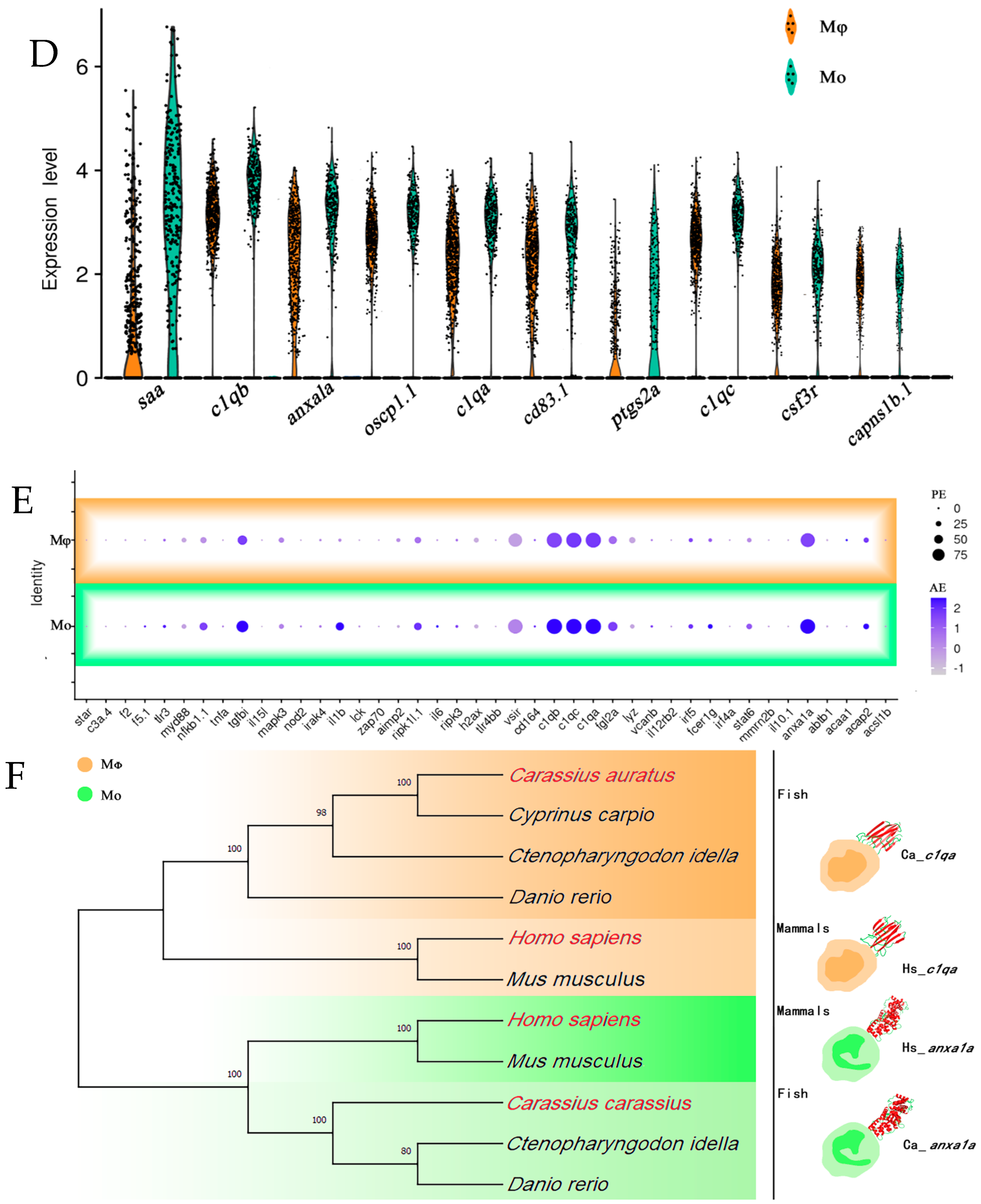 Fishes 09 00525 g007b