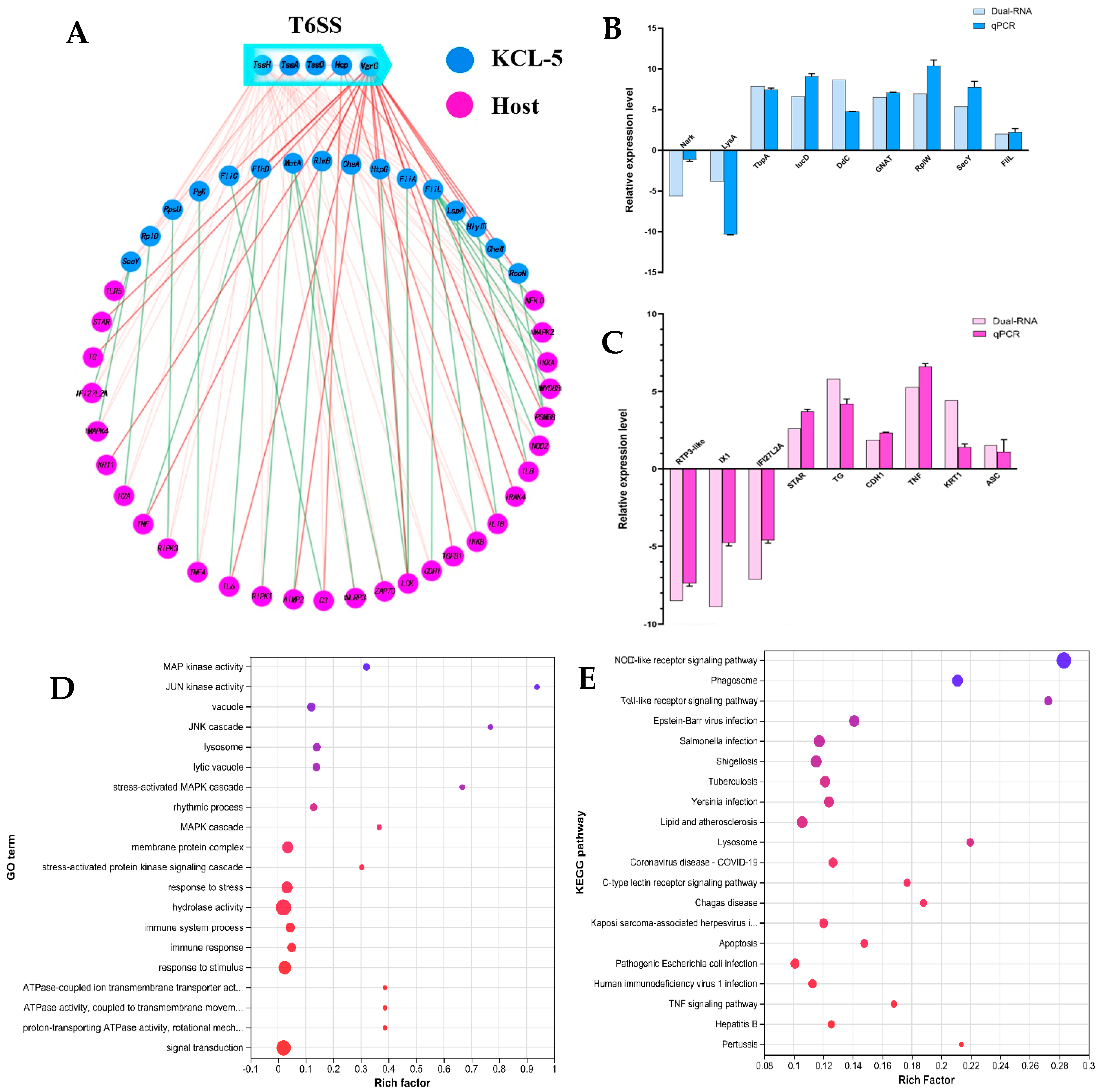 Fishes 09 00525 g008