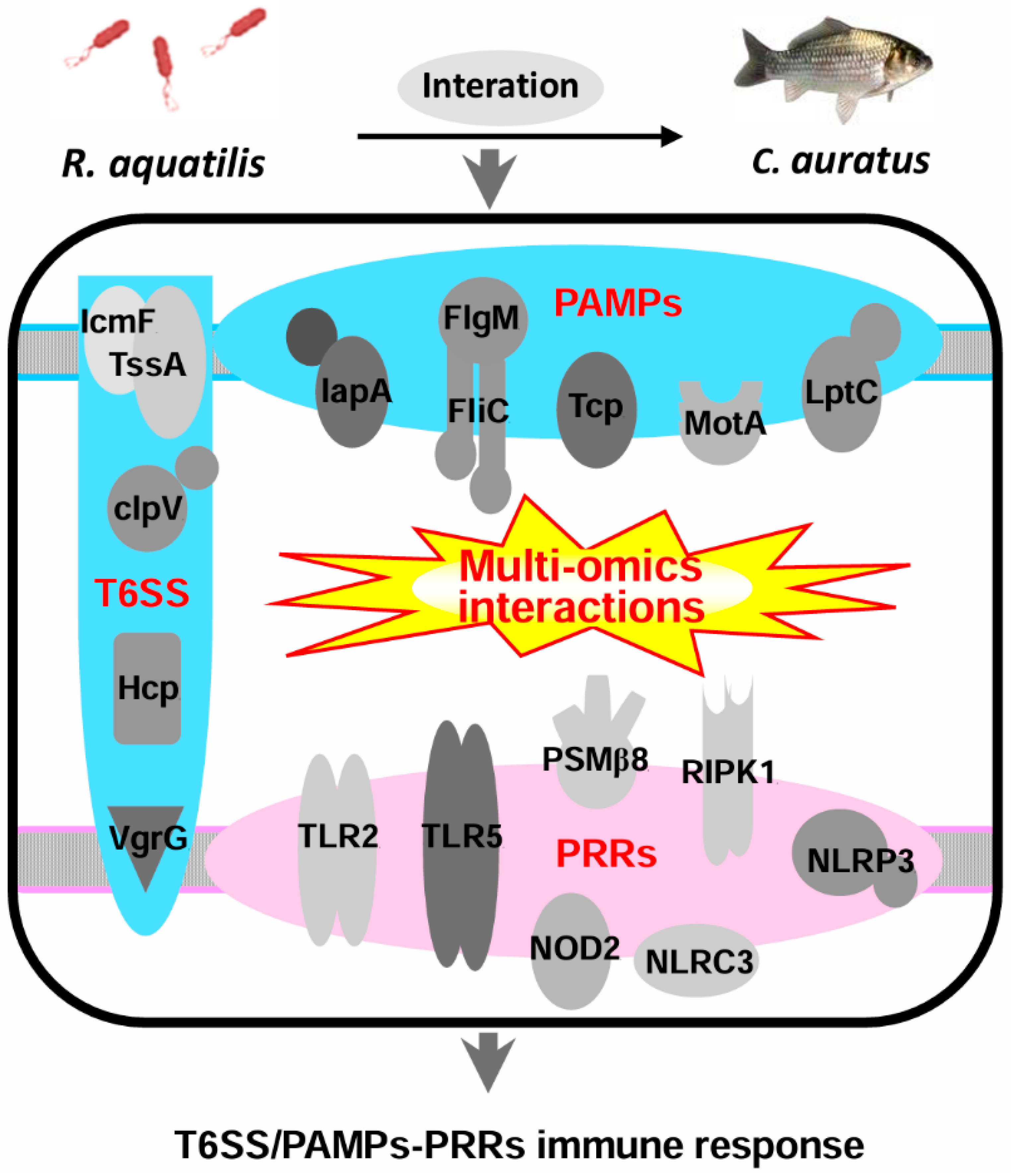 Fishes 09 00525 g009