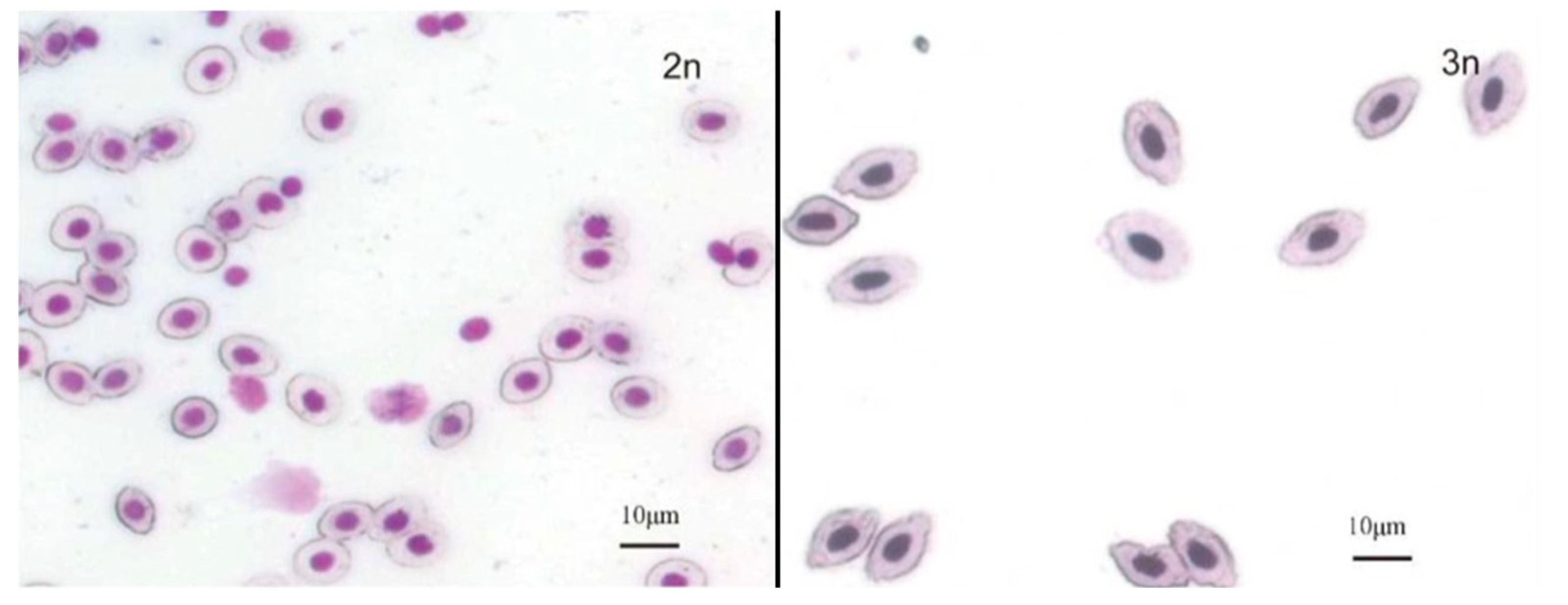 Fishes 10 00004 g003