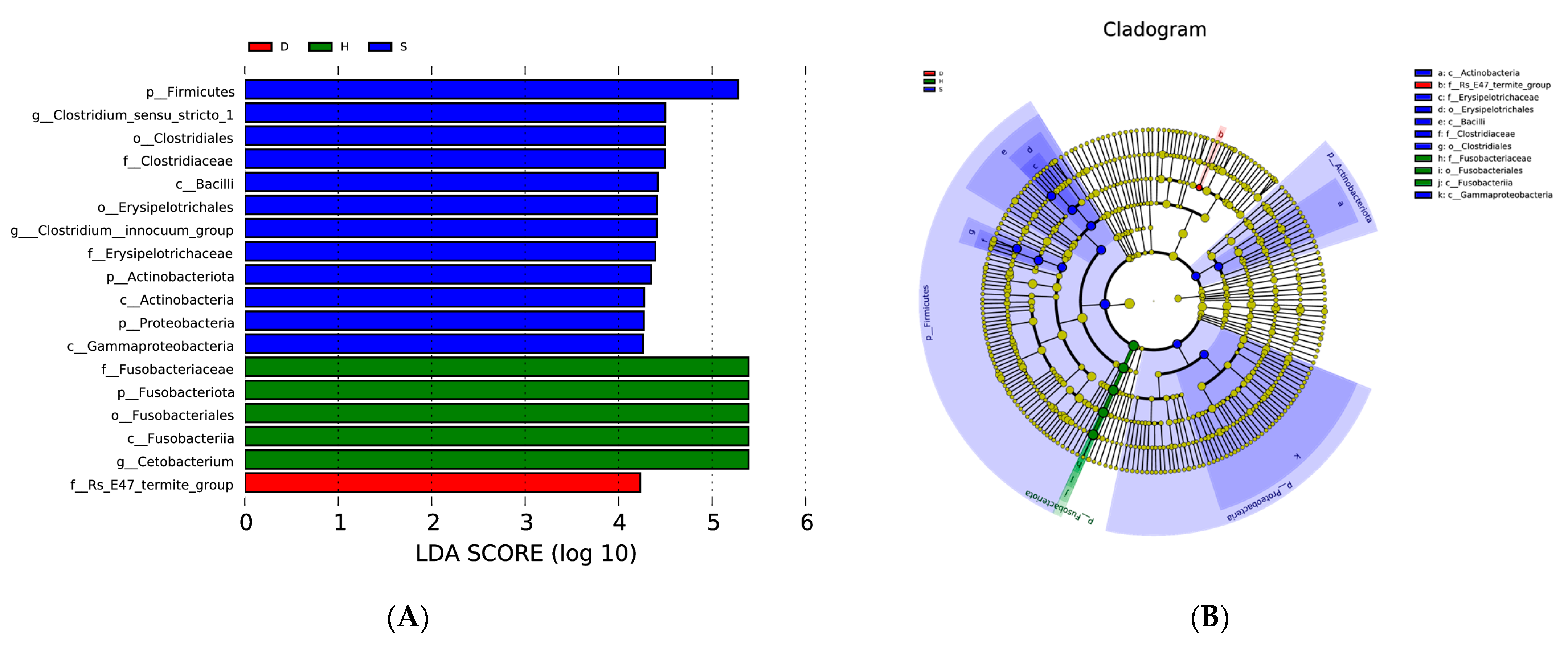 Fishes 10 00011 g006