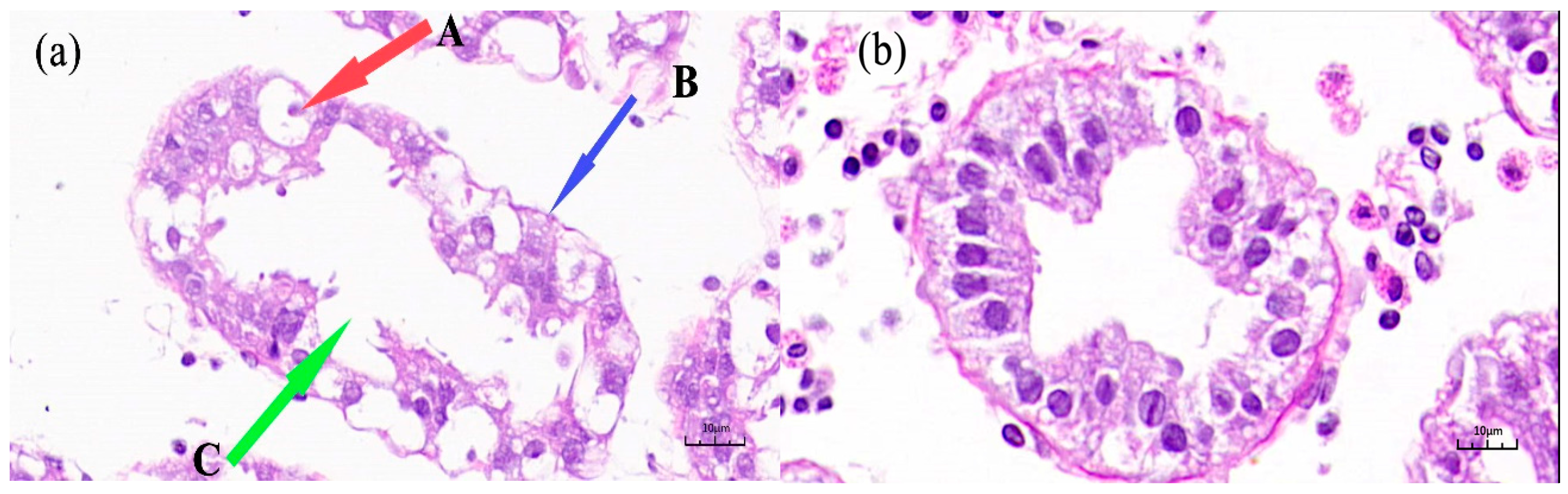 Fishes 10 00012 g002