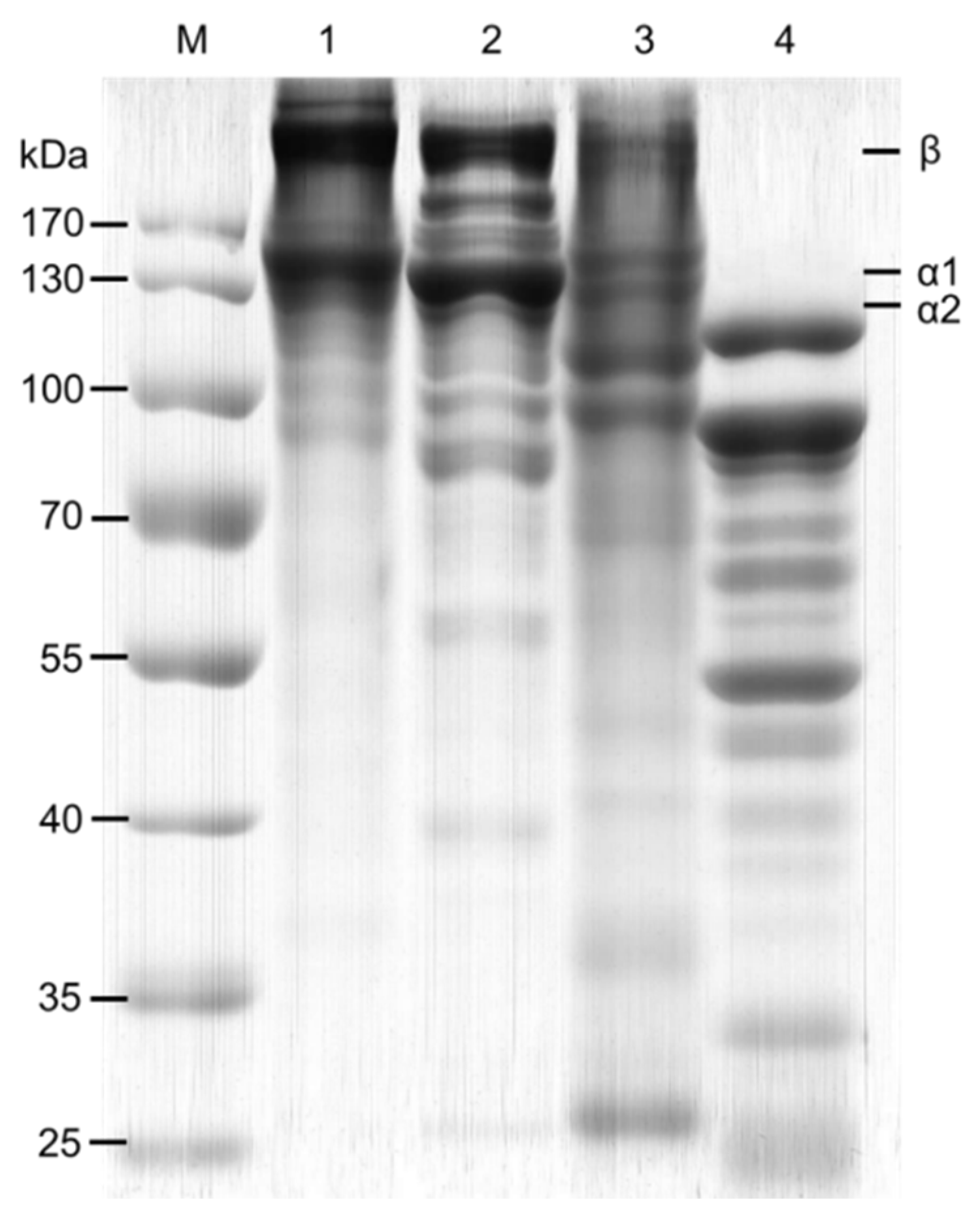 Fishes 10 00013 g003