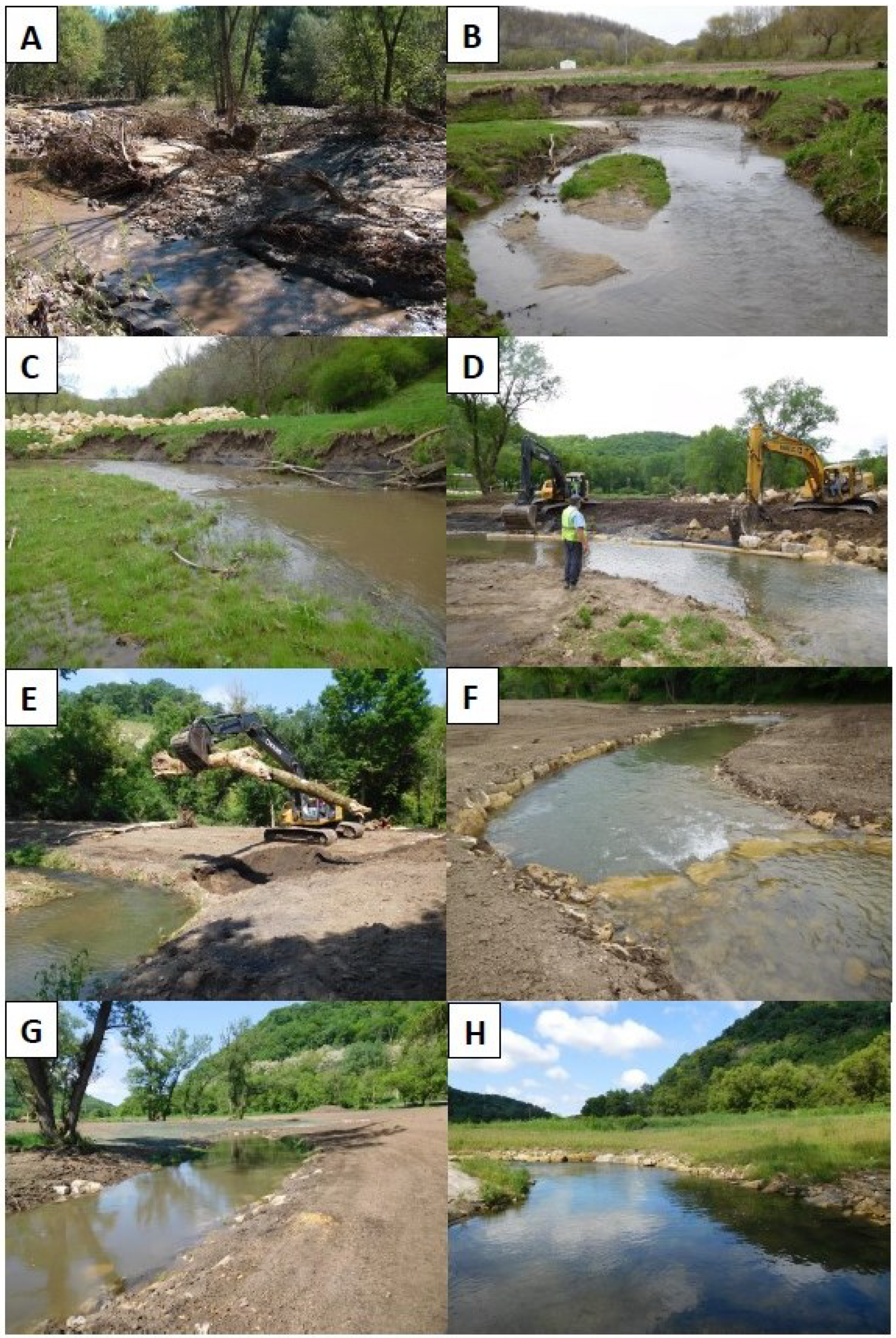 Fishes 10 00014 g001