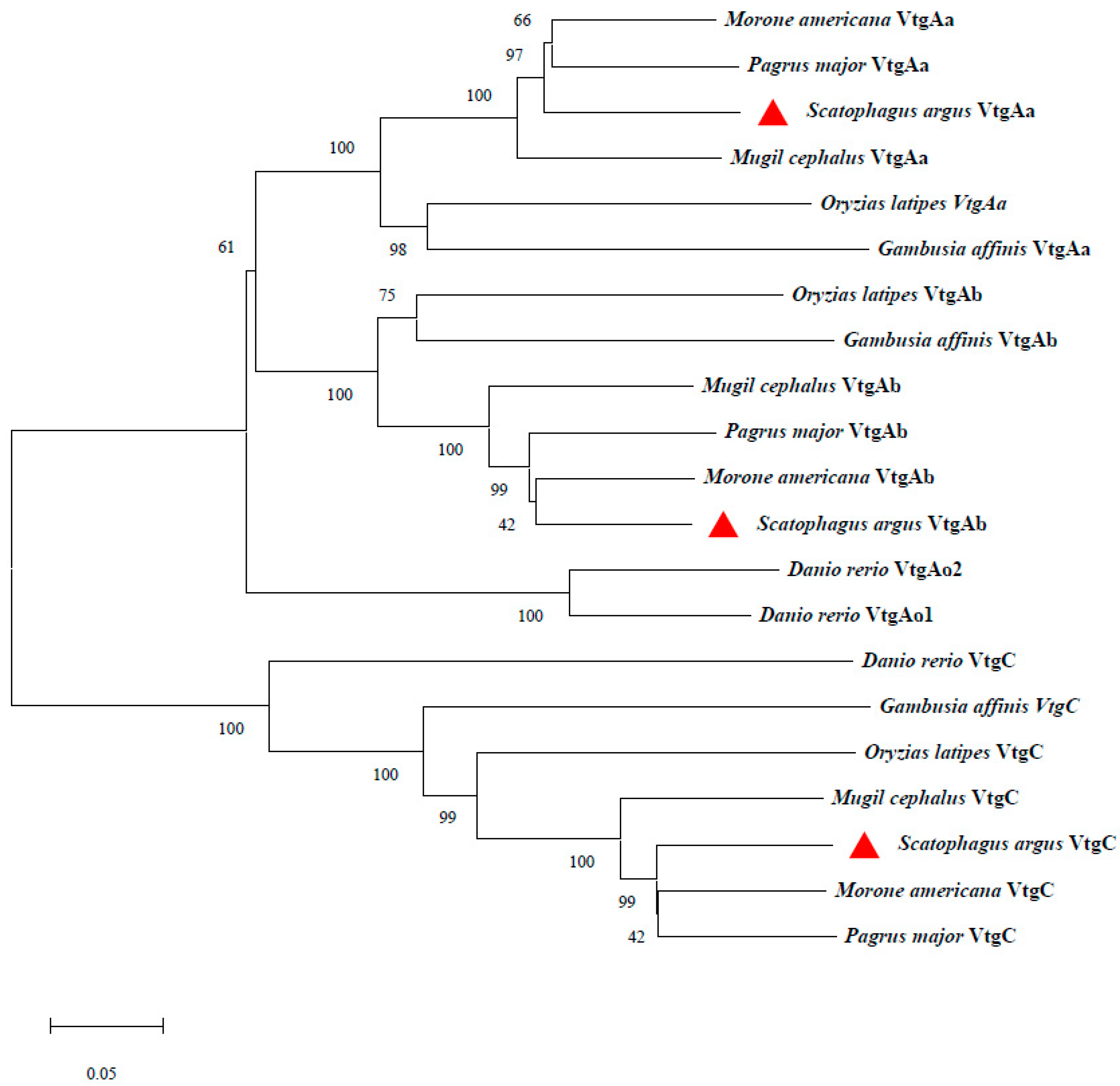 Fishes 10 00015 g002