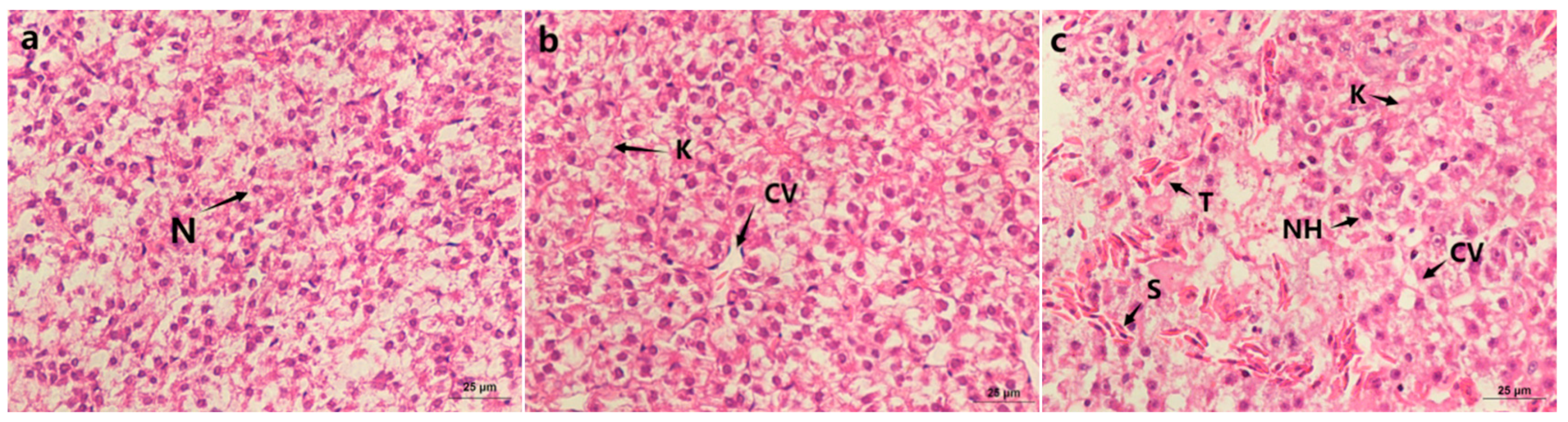 Fishes 10 00017 g001