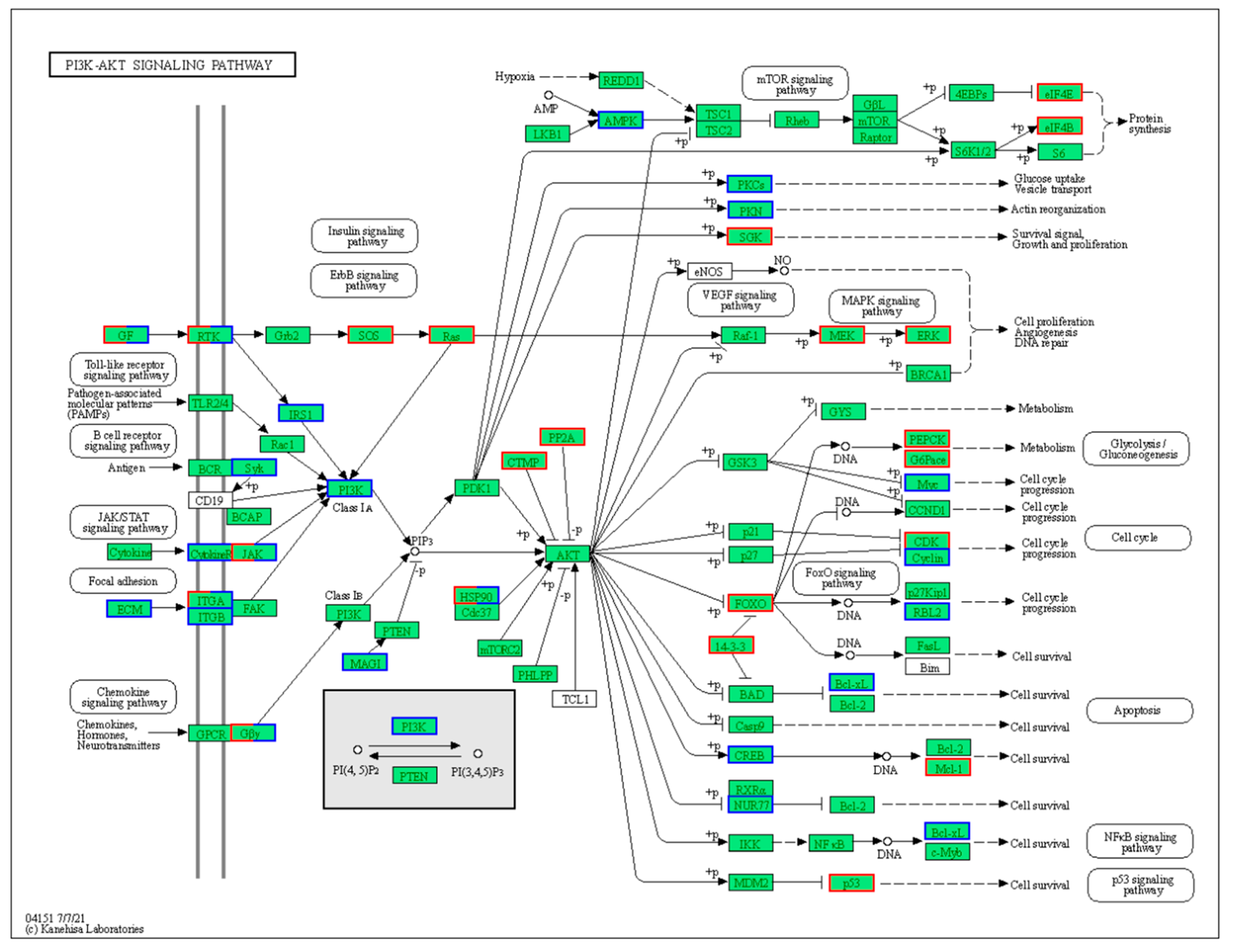 Fishes 10 00017 g006