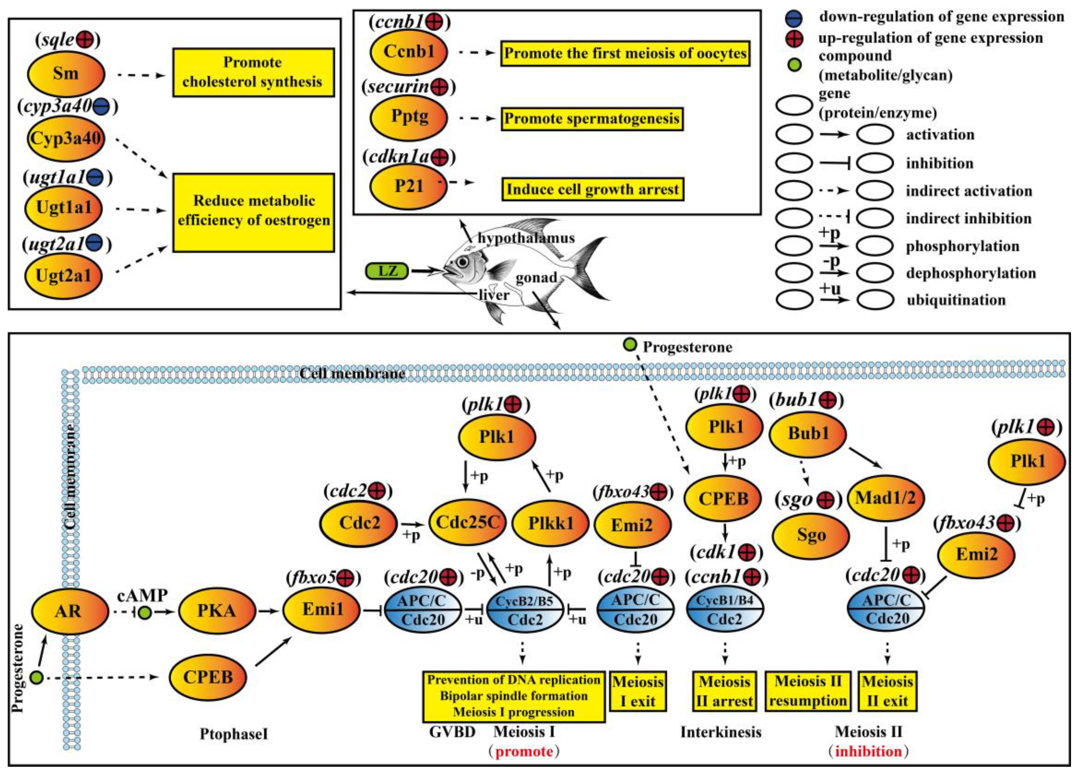Fishes 10 00021 g009