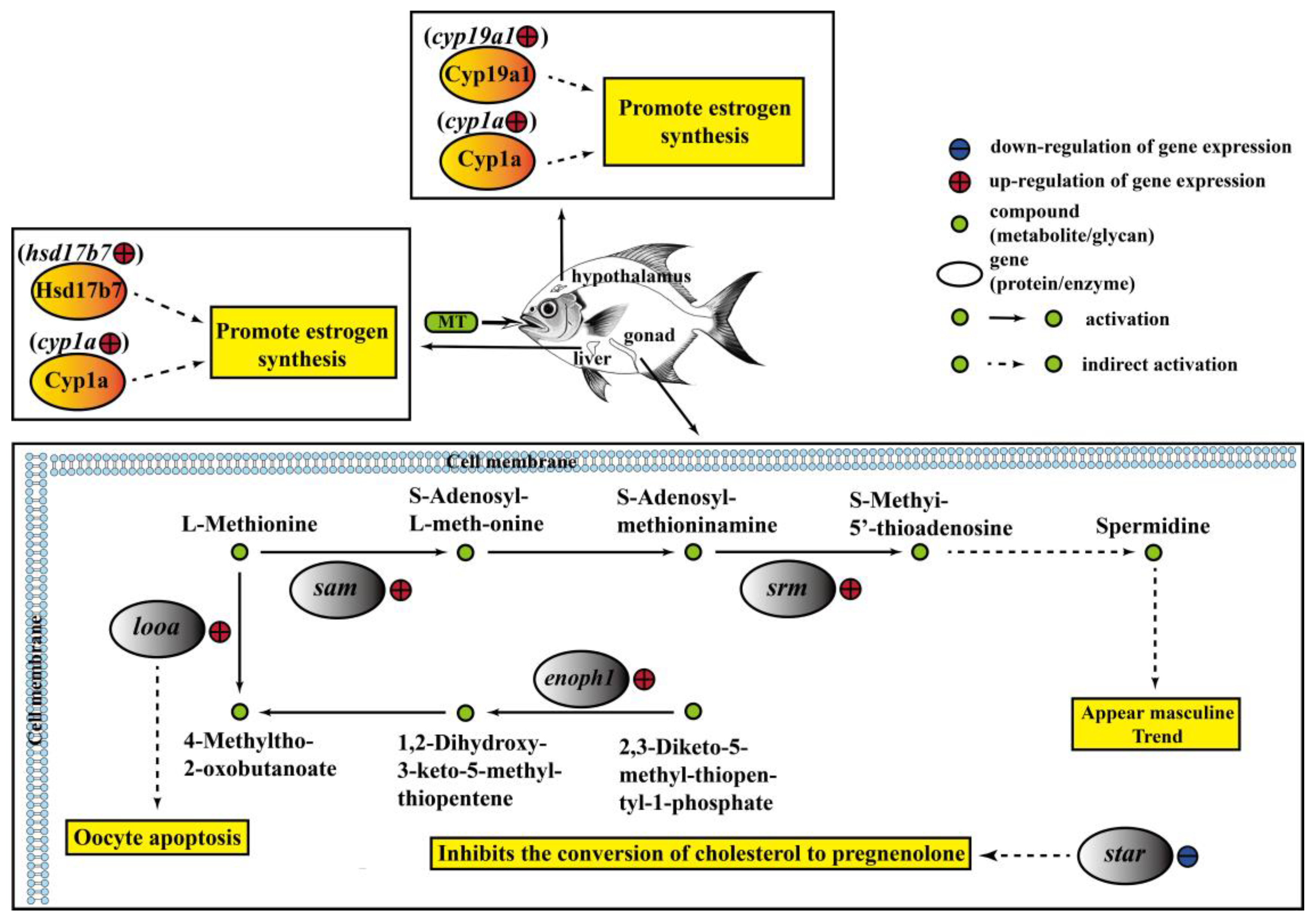 Fishes 10 00021 g010