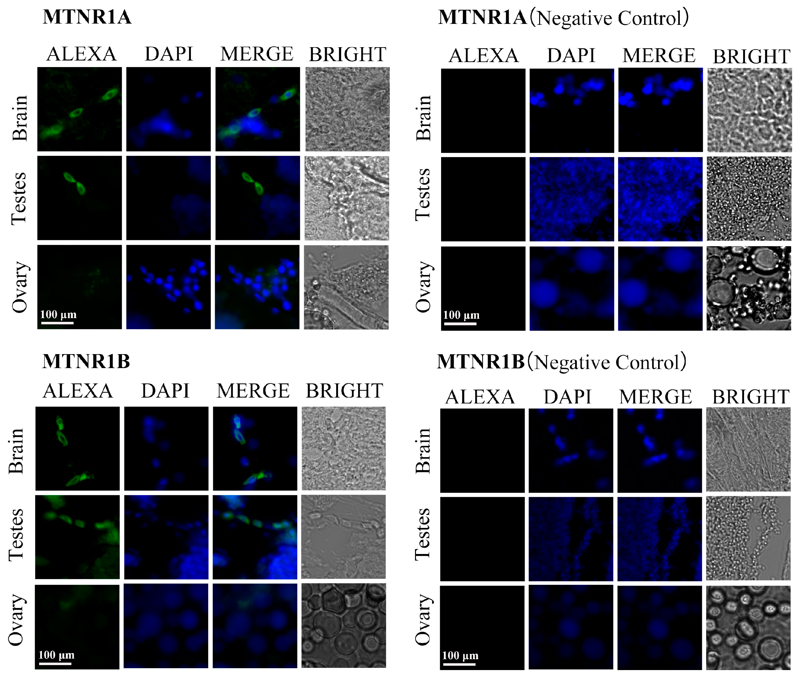 Fishes 10 00028 g003