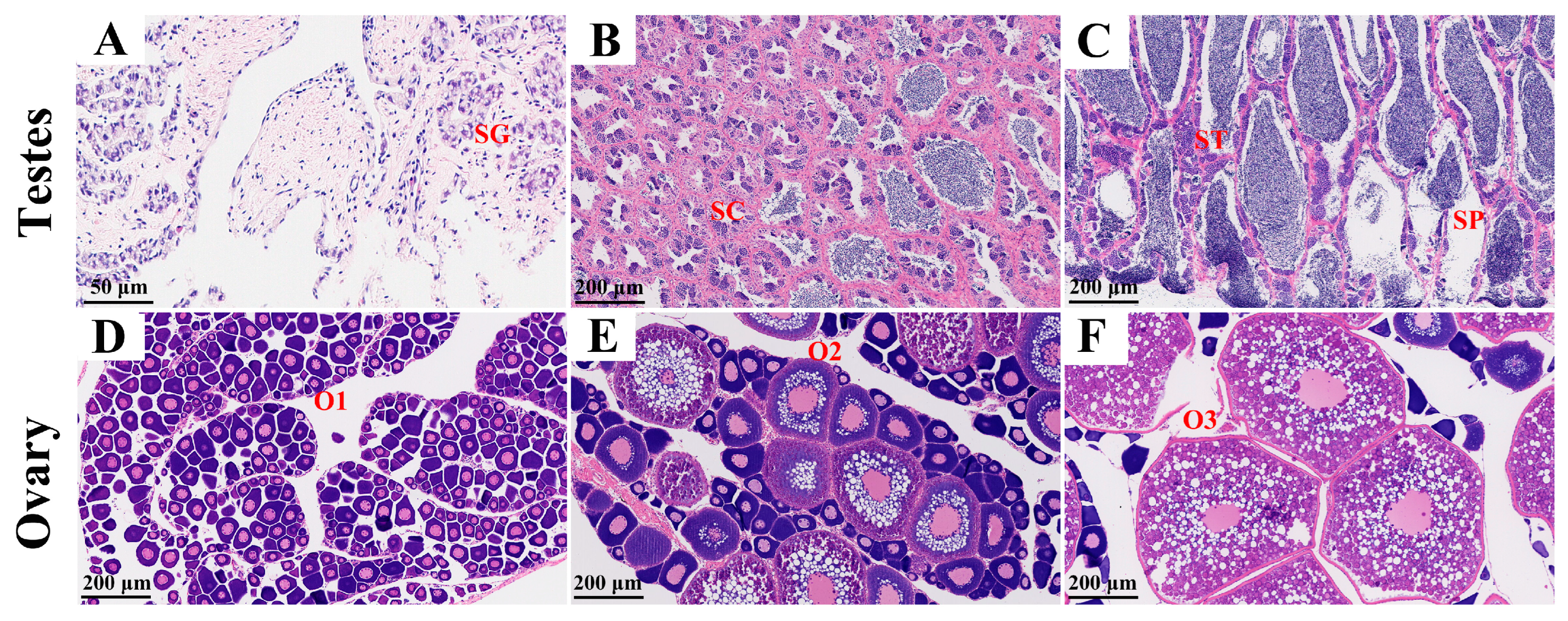 Fishes 10 00028 g004