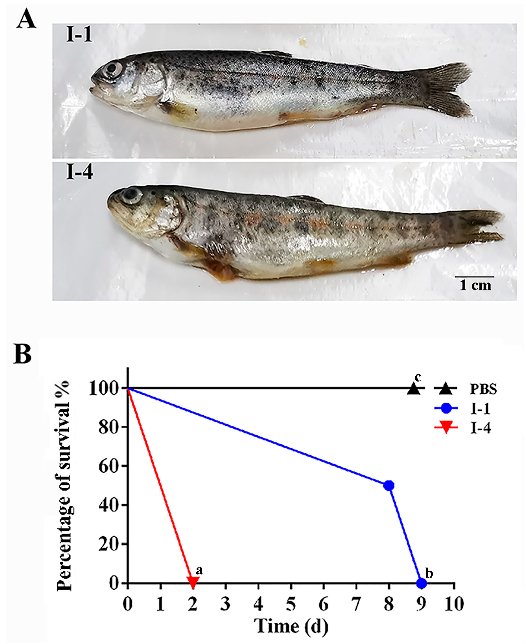Fishes 10 00029 g001