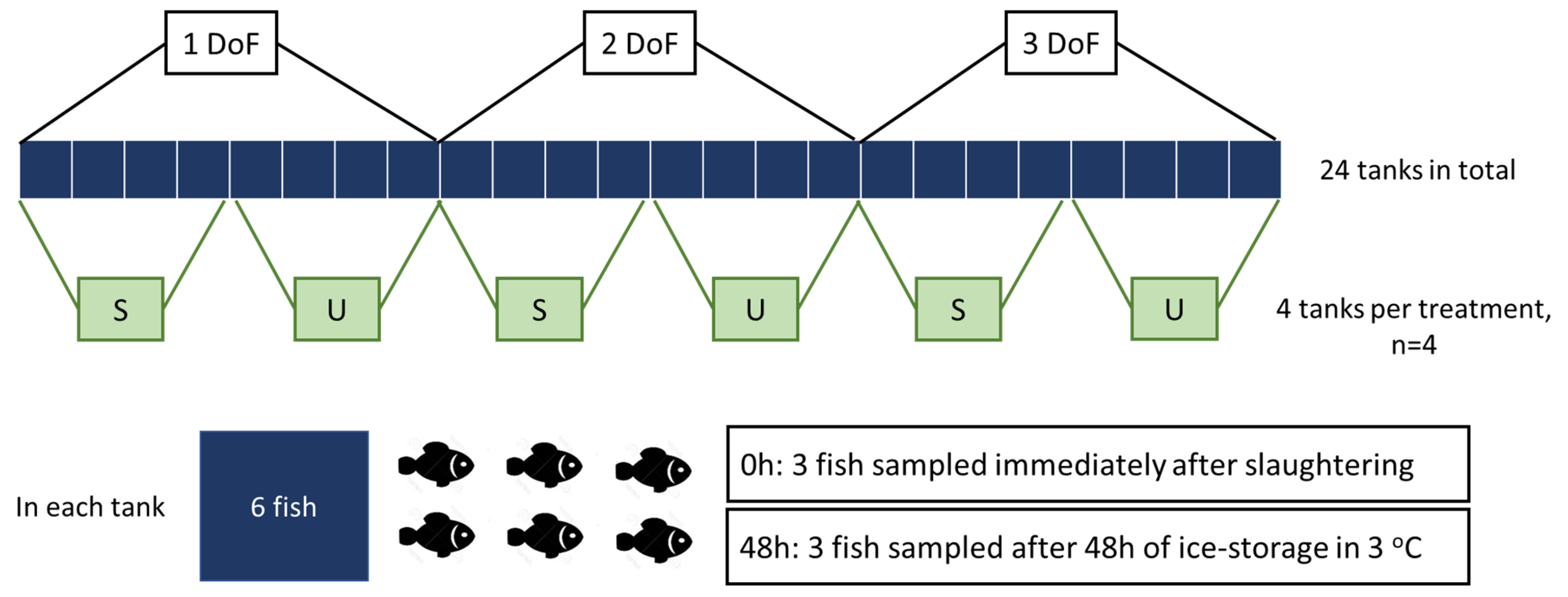 Fishes 10 00032 g001
