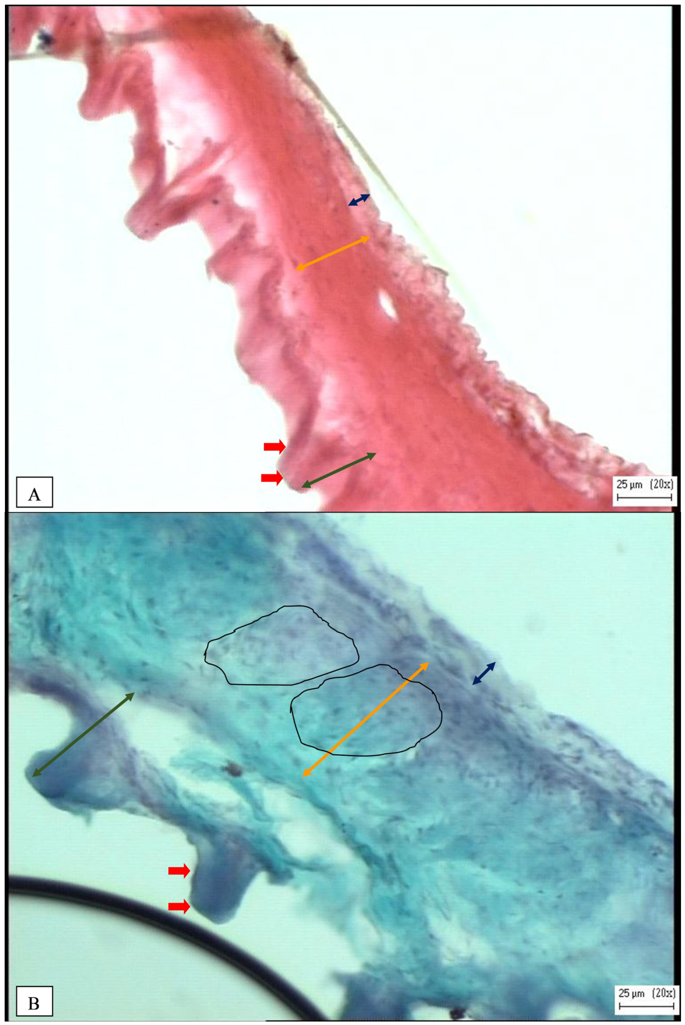 Fishes 10 00032 g007