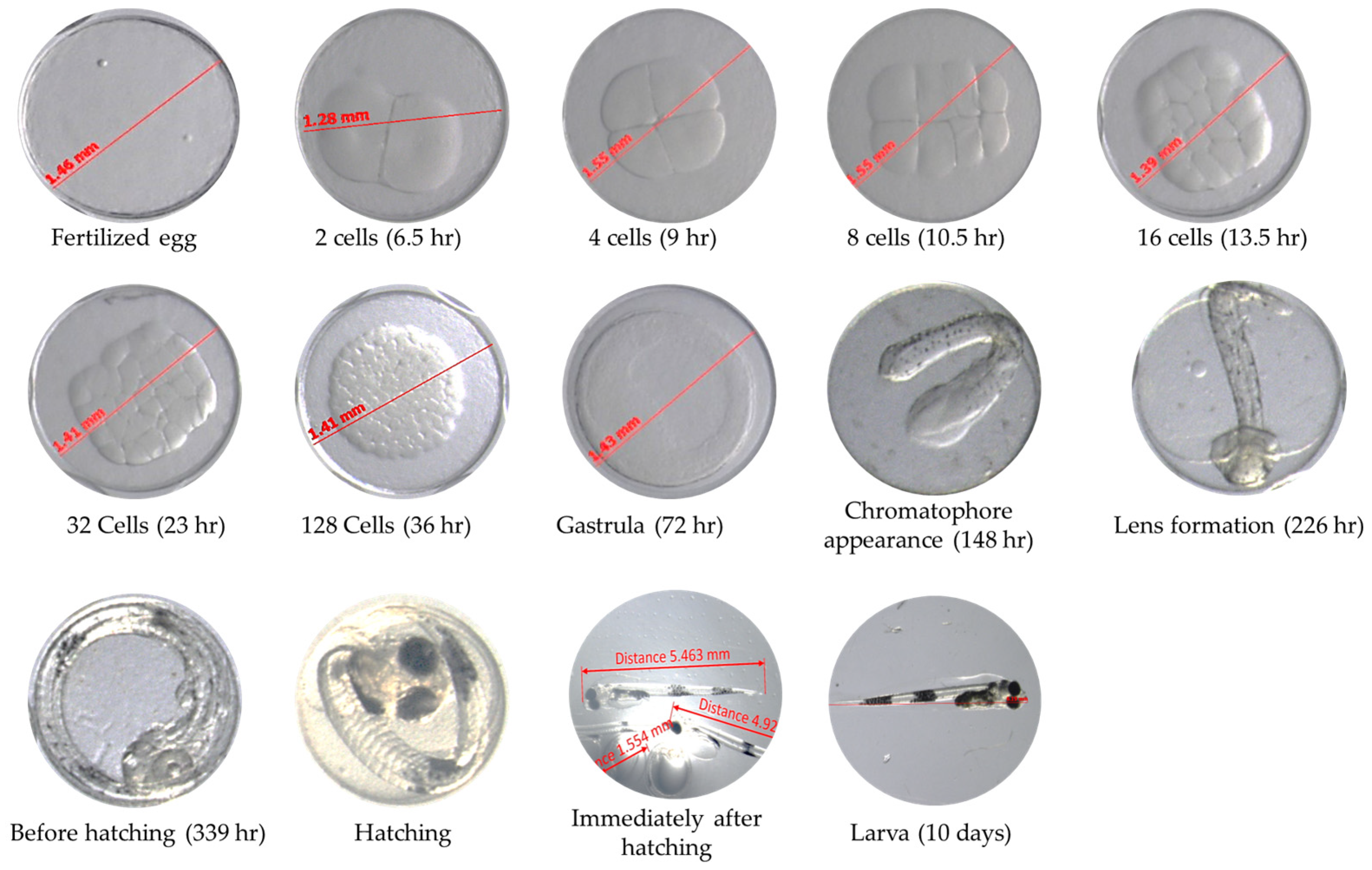 Fishes 10 00035 g001