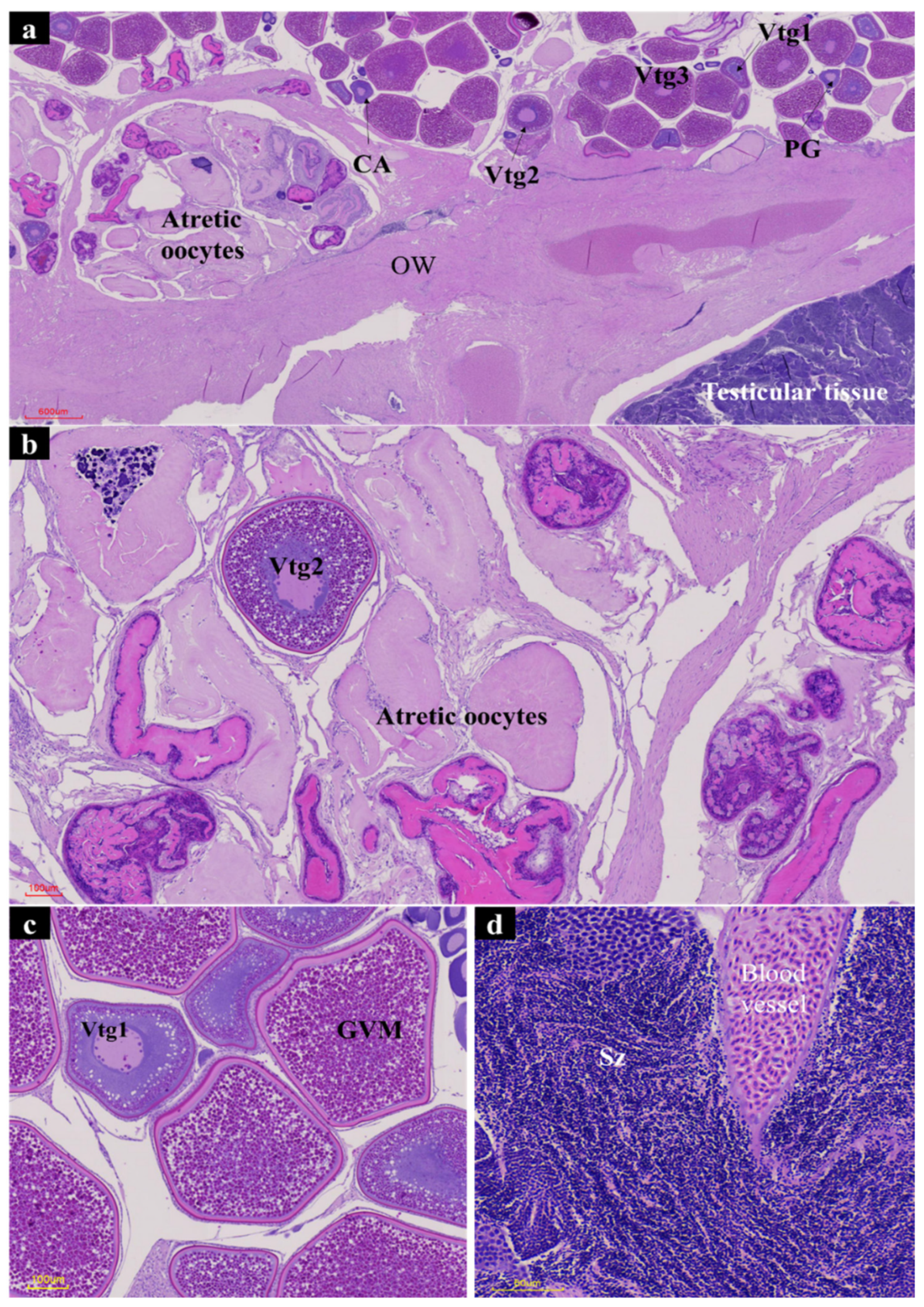 Fishes 10 00035 g004