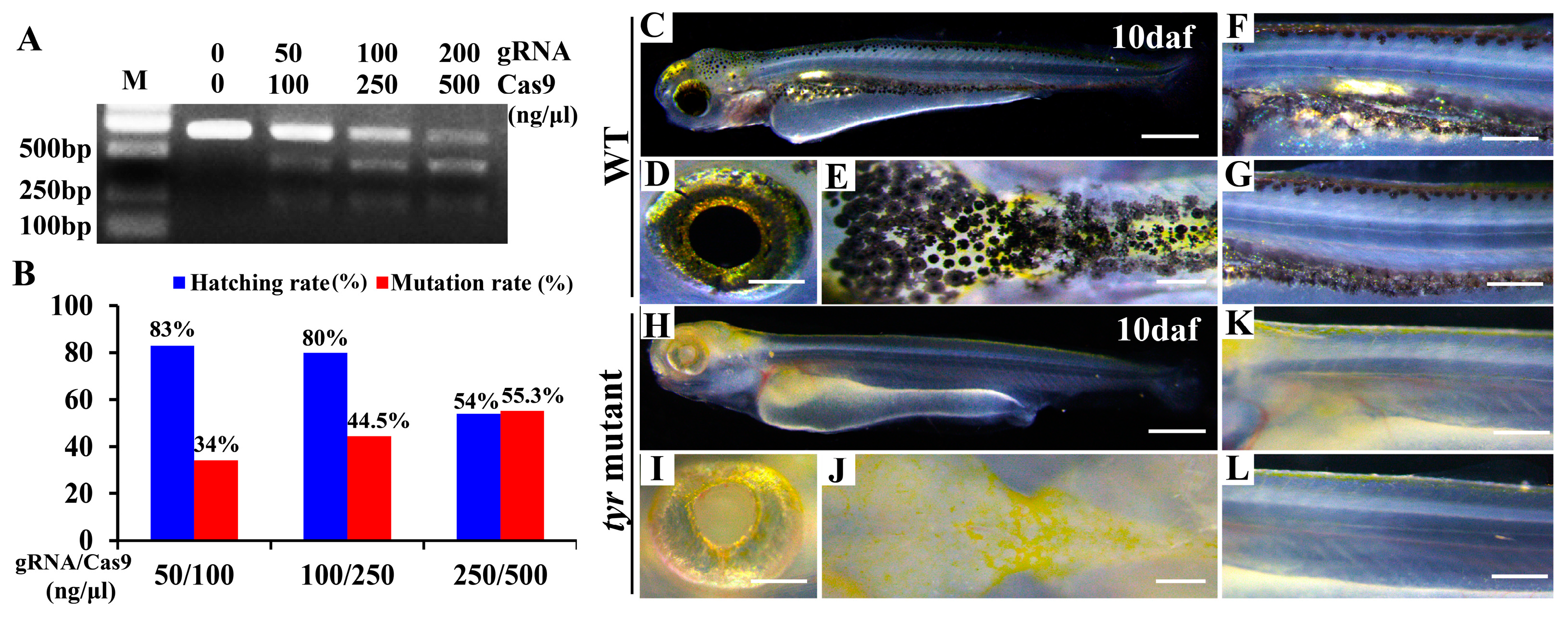 Fishes 10 00040 g002