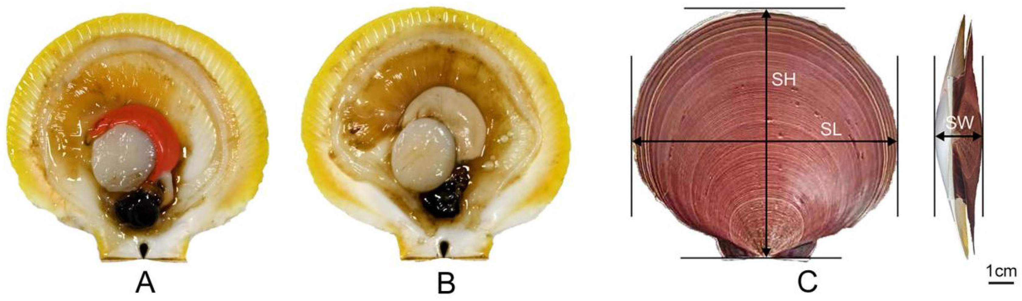 Fishes 10 00045 g002