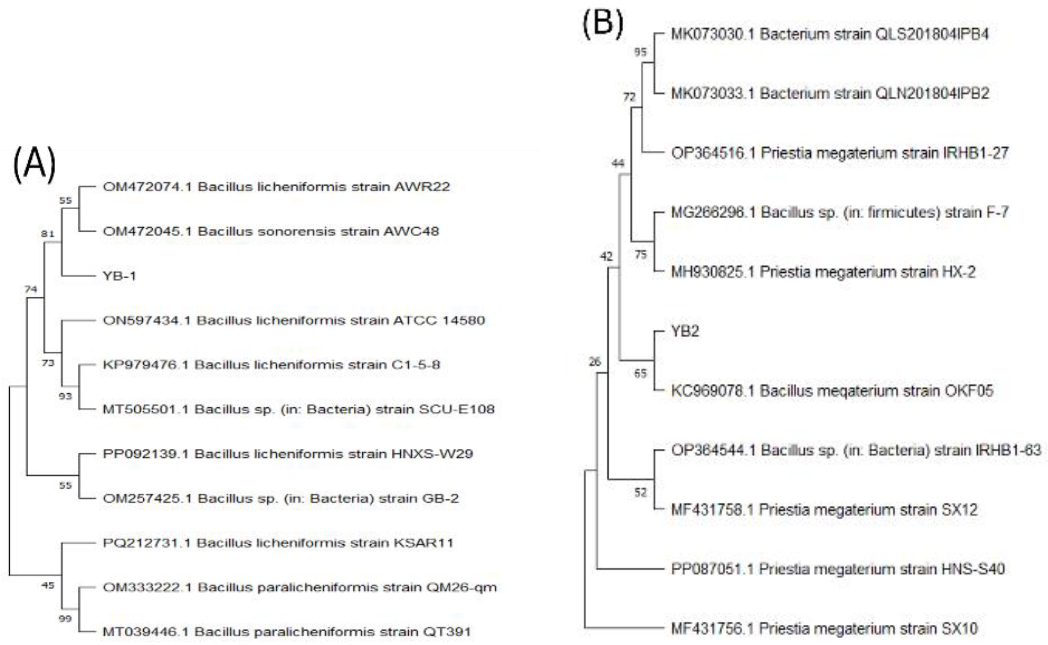 Fishes 10 00046 g002