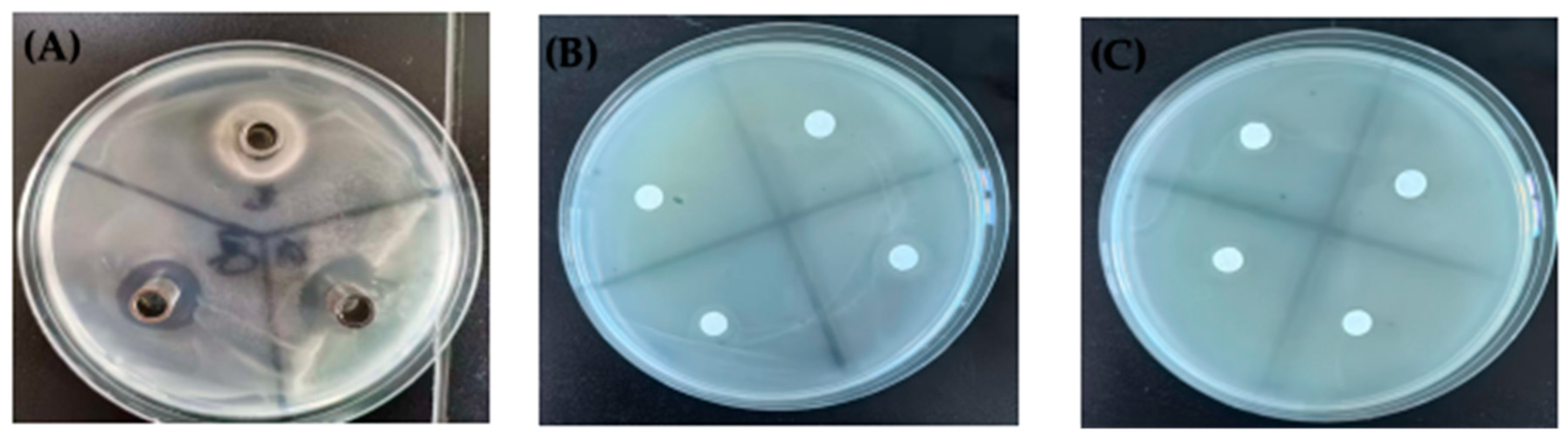 Fishes 10 00046 g003