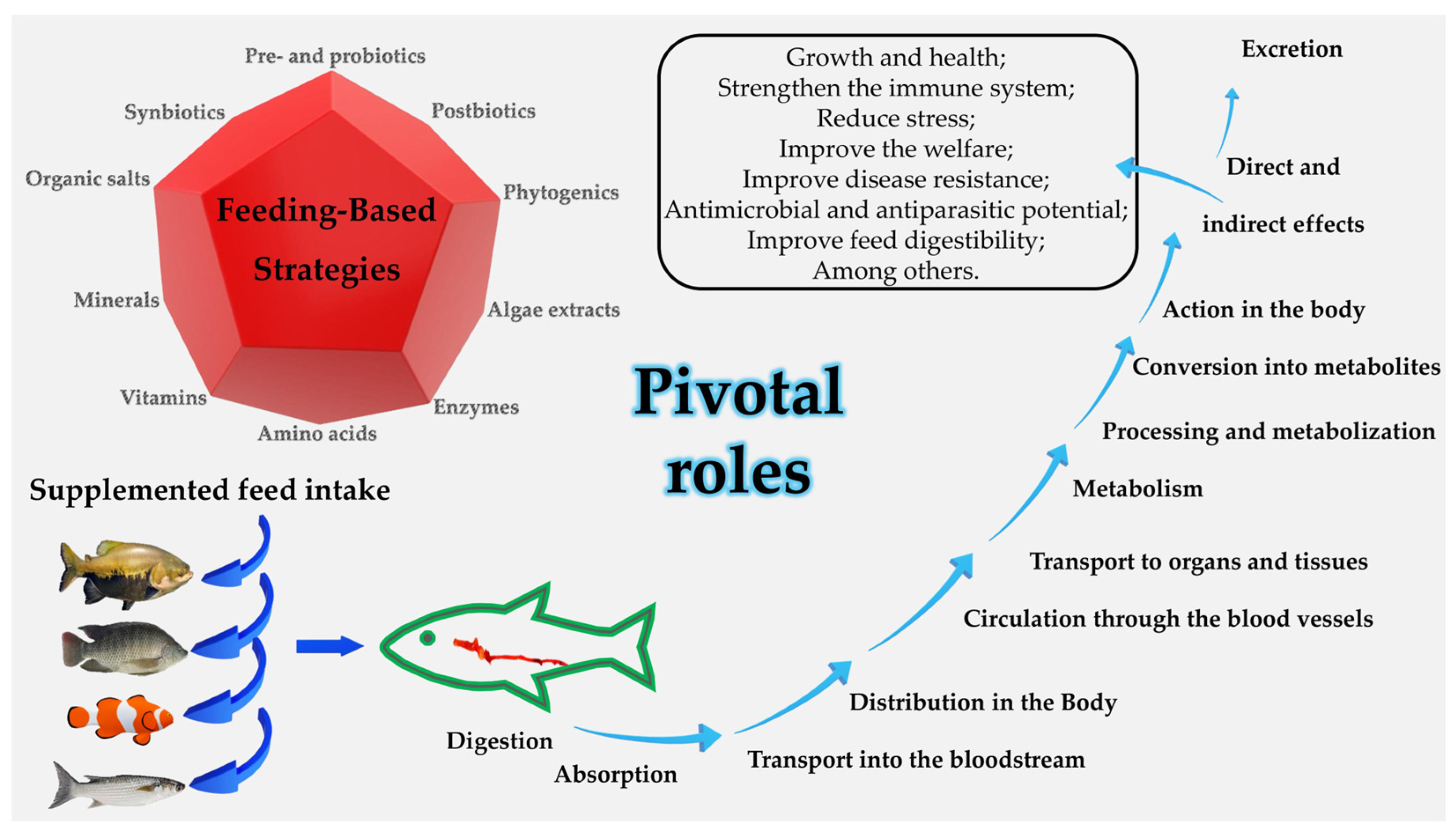 Fishes 10 00047 g001 Fishes 10 00047 g001