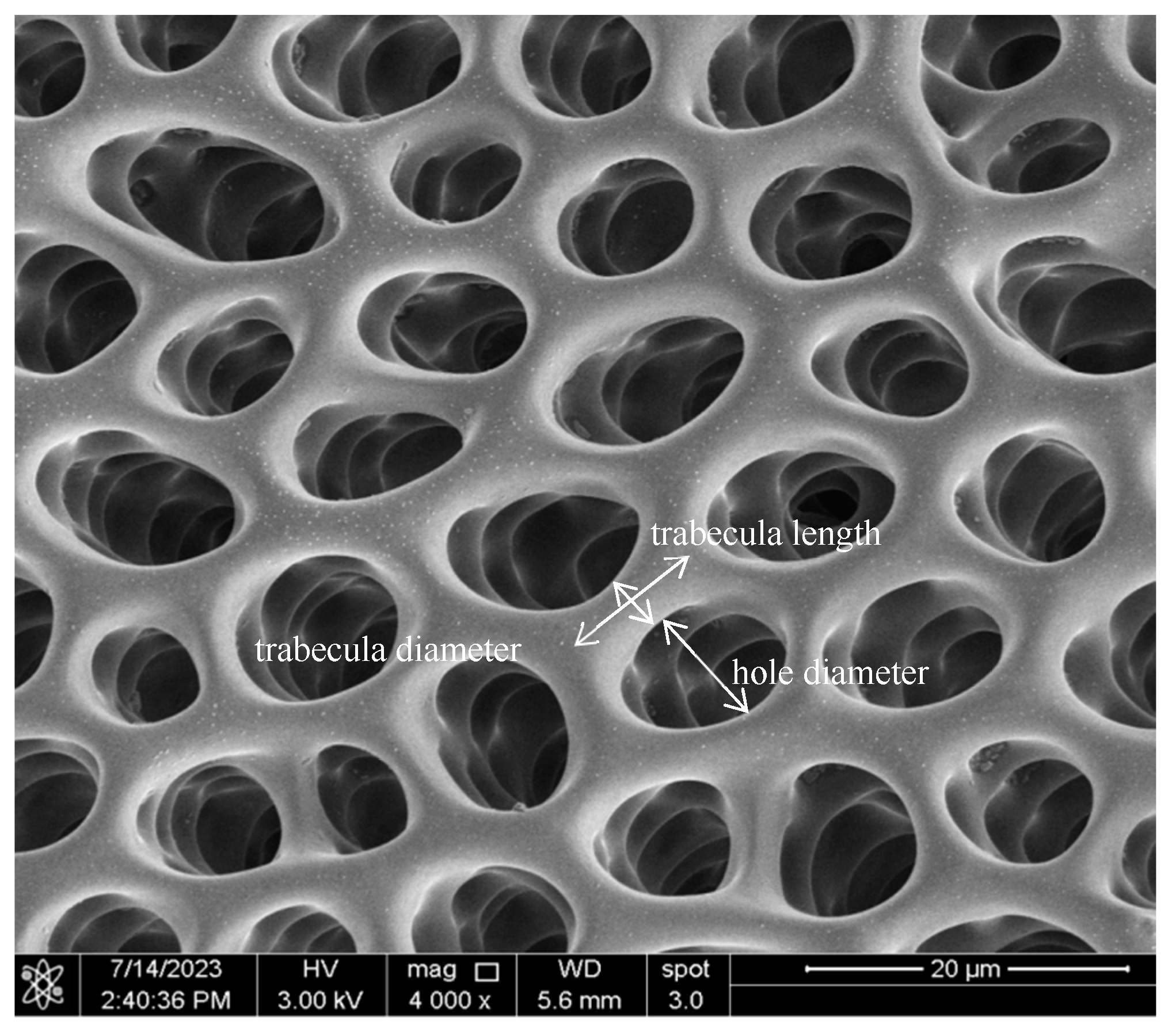 Fishes 10 00057 g002