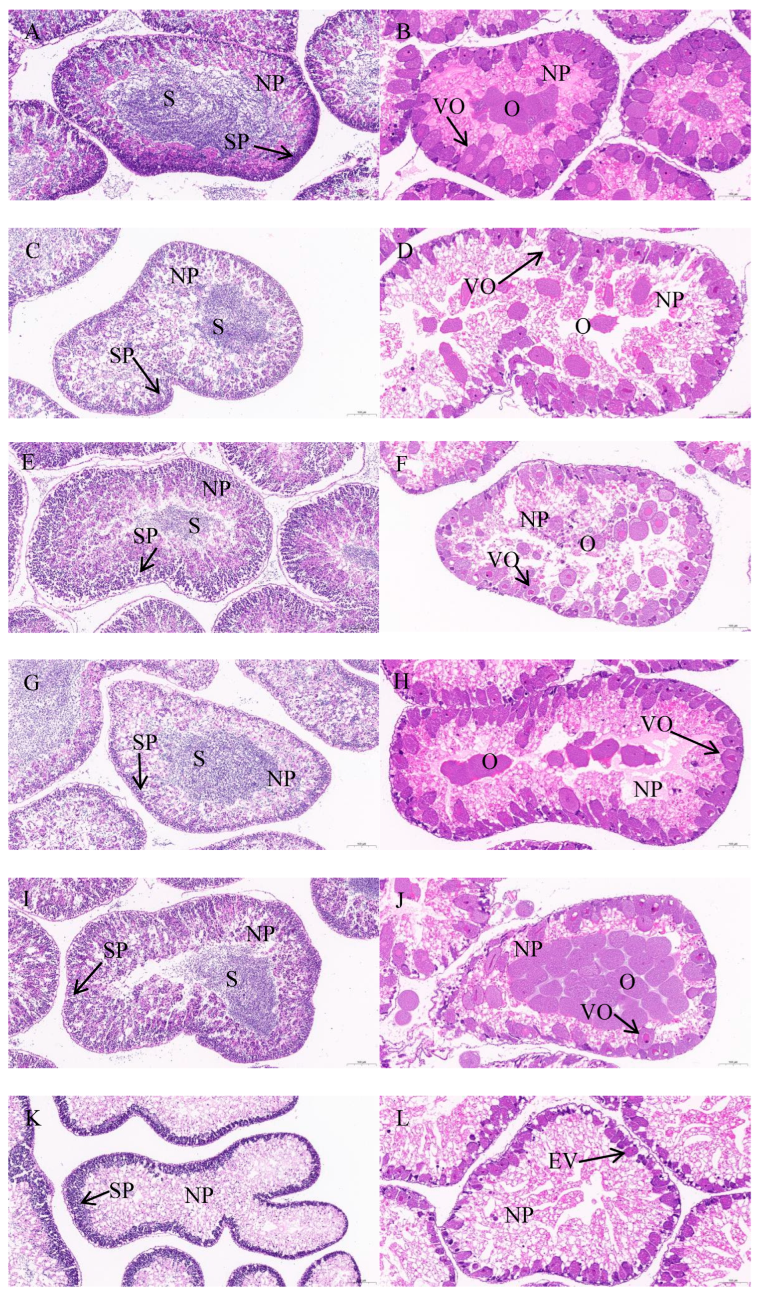 Fishes 10 00057 g004