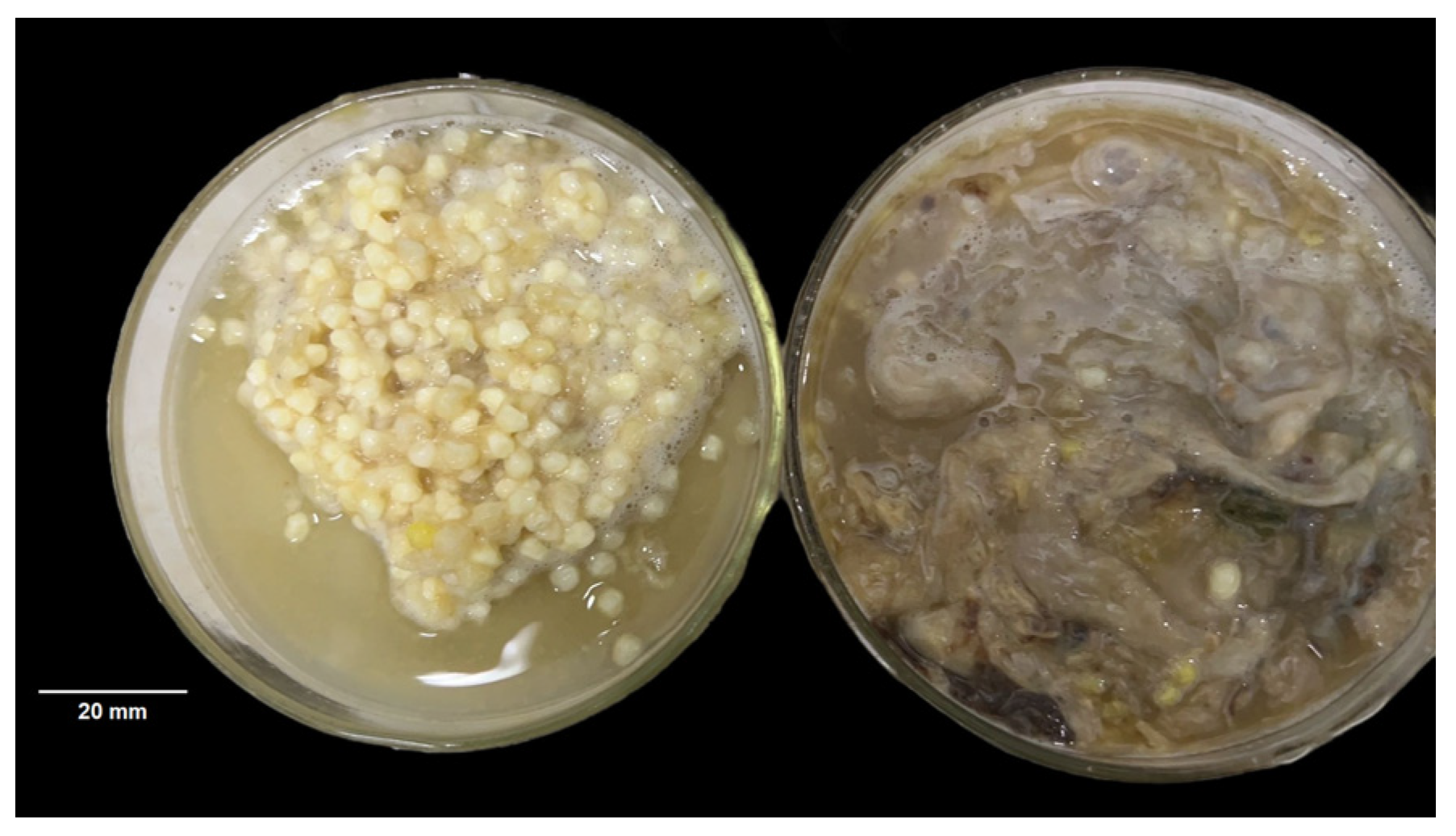 Fishes 10 00058 g001